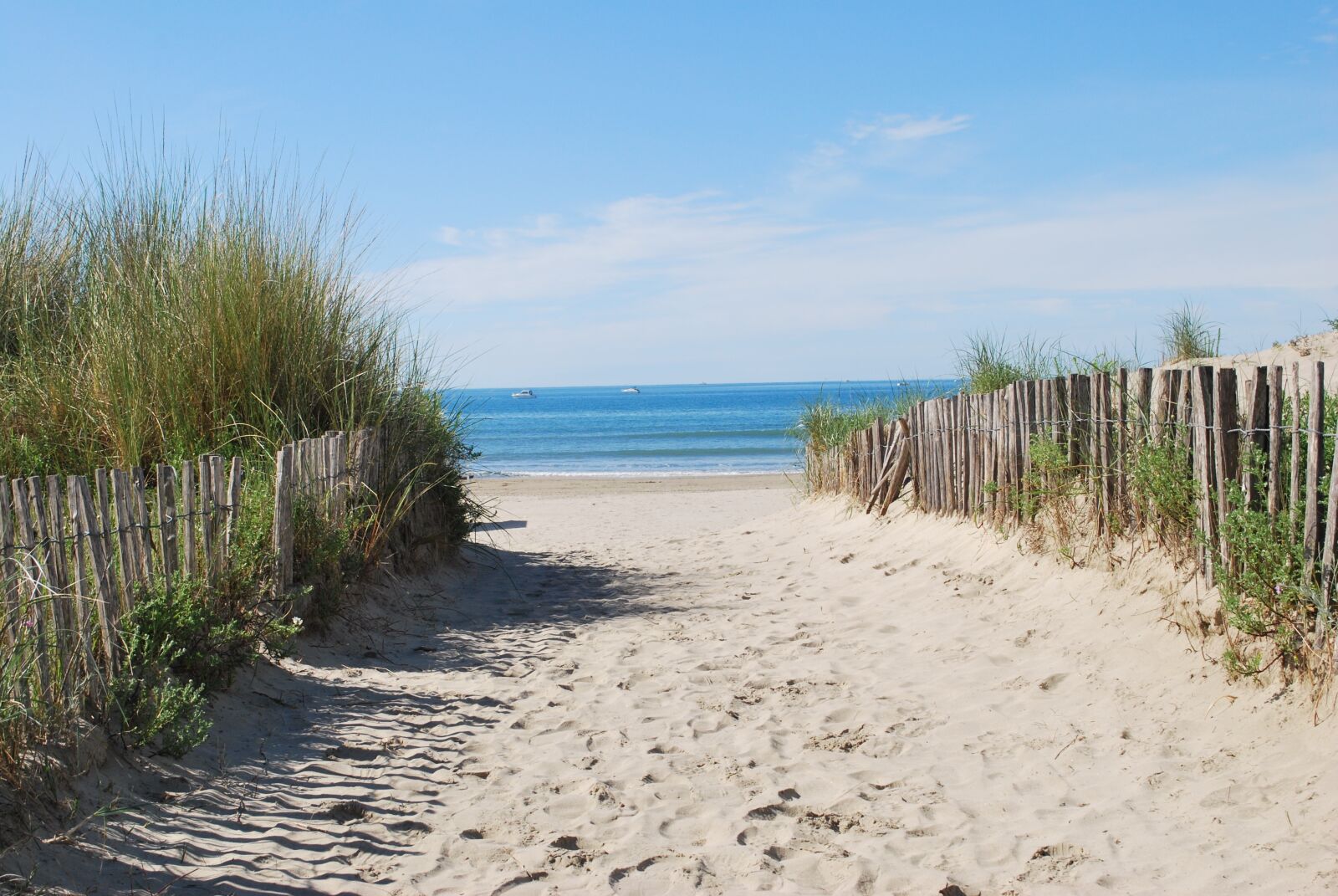 Nikon D60 sample photo. Beach, beach path, sea photography