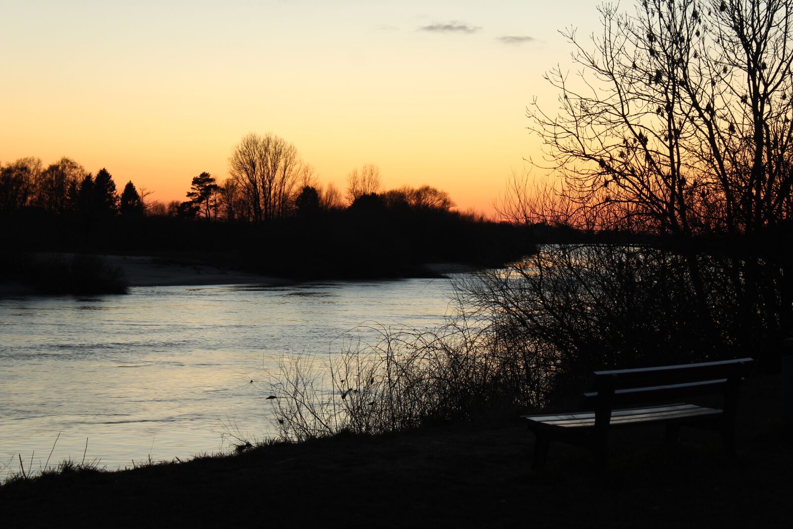 Canon EOS 1300D (EOS Rebel T6 / EOS Kiss X80) sample photo. Nature, tree, dawn photography