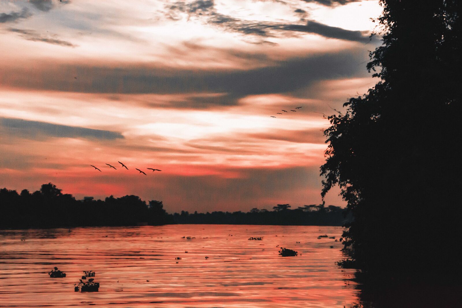 Nikon D5200 sample photo. River, water, sunset photography