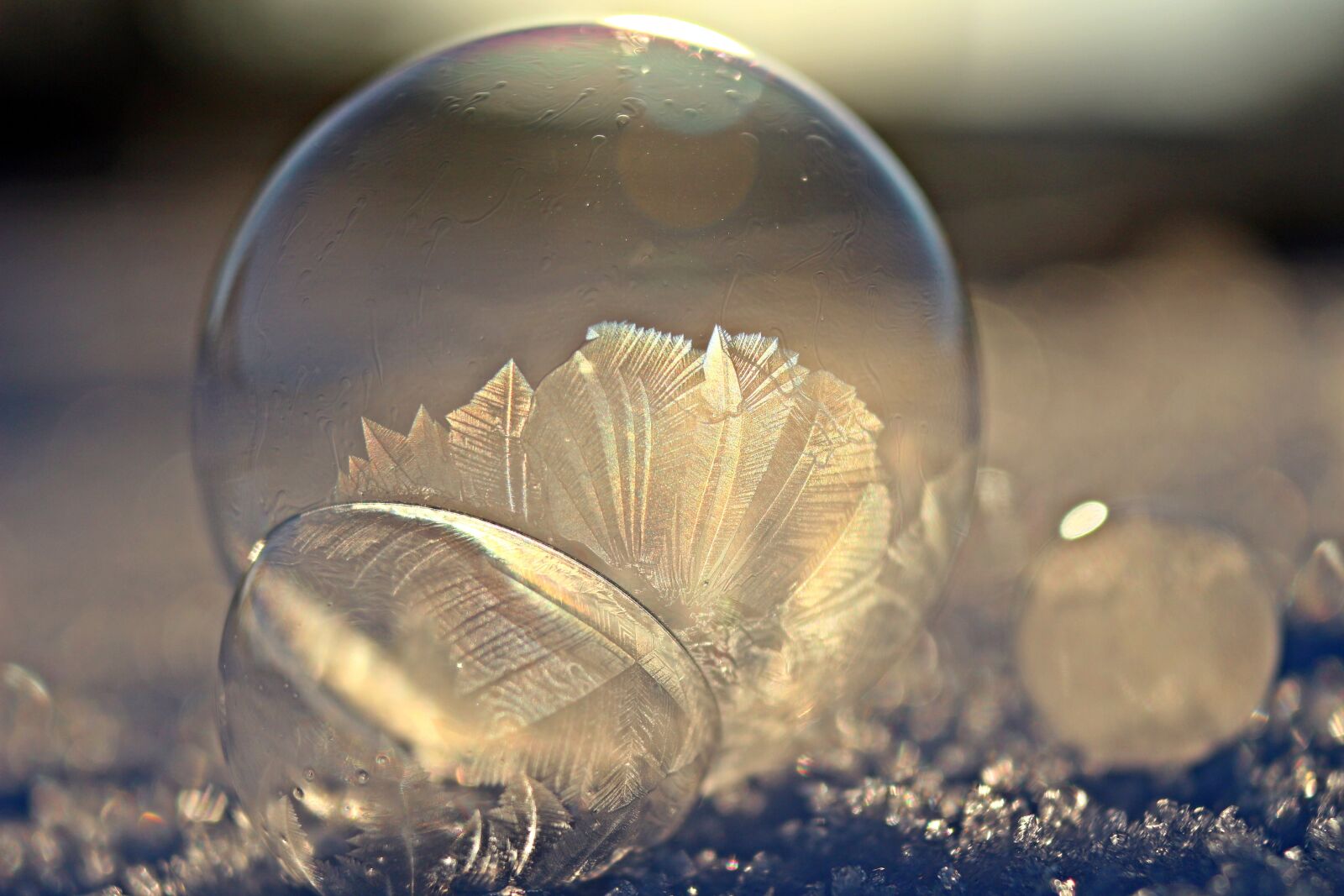 Canon EOS 100D (EOS Rebel SL1 / EOS Kiss X7) sample photo. Ball, ice crystal, bubble photography