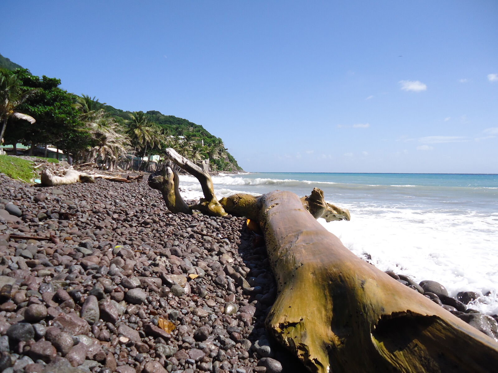 Sony Cyber-shot DSC-W610 sample photo. Beach, log, seashore photography