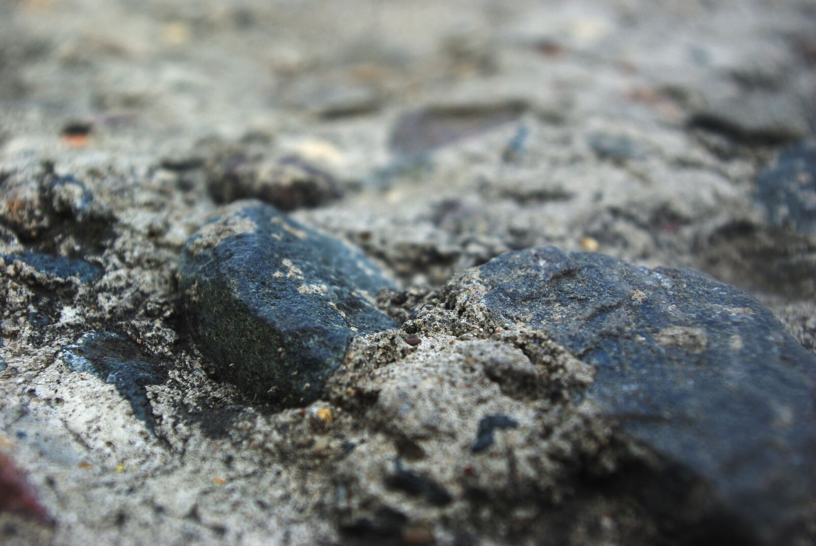 Pentax K200D sample photo. Background, blurred background, soil photography