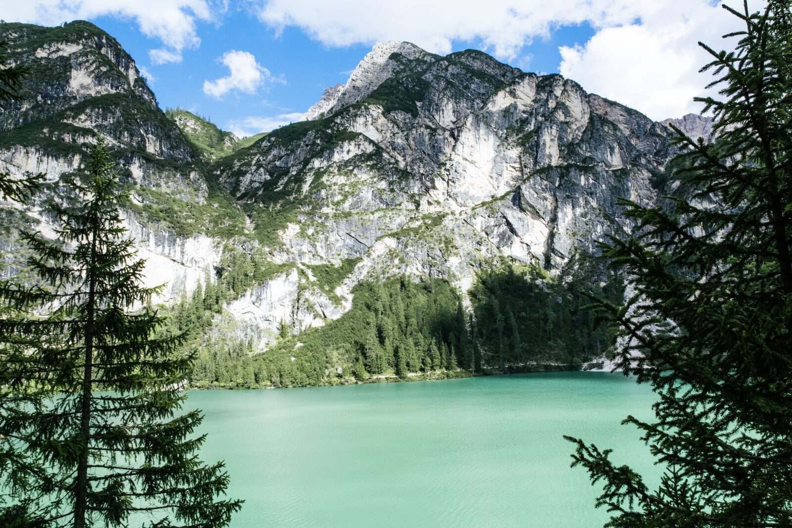 Canon EF 24-70mm F2.8L II USM sample photo. Wood, landscape, mountains, nature photography