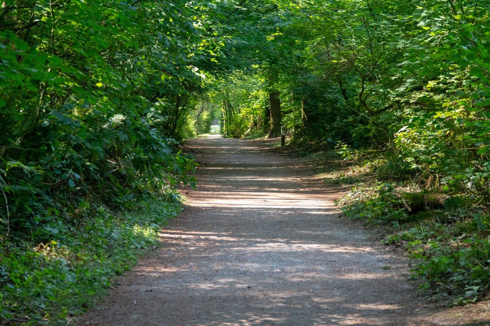 Nikon D7200 sample photo. Beautiful, green, landscape photography