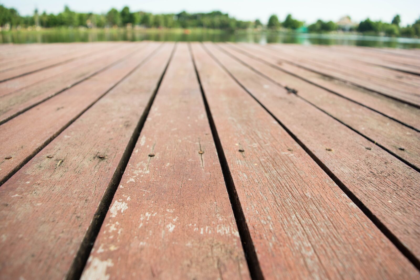Nikon D5200 sample photo. Brown, lake, park photography