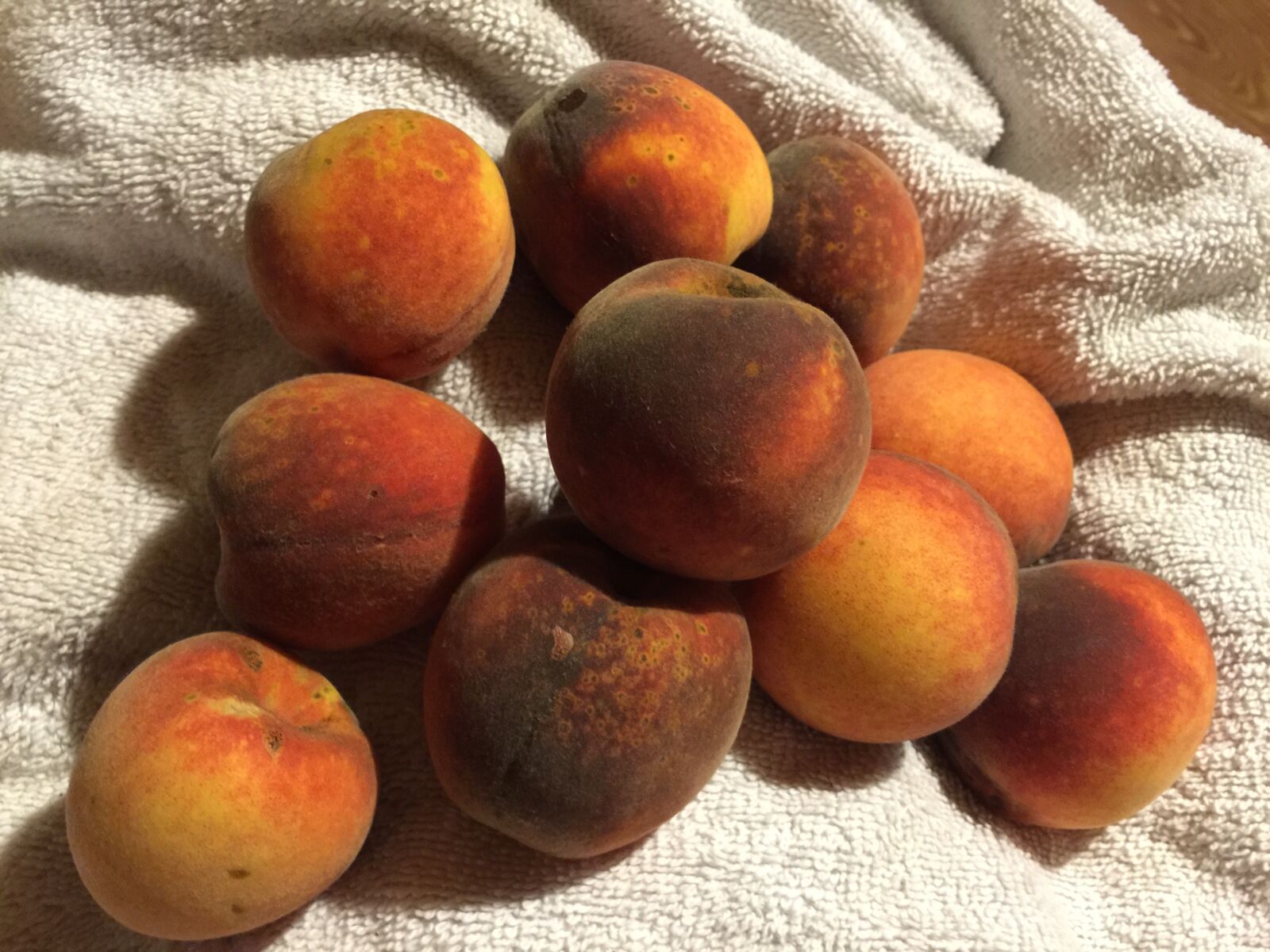 iPhone 6 Plus back camera 4.15mm f/2.2 sample photo. Fruit, peaches, towel photography