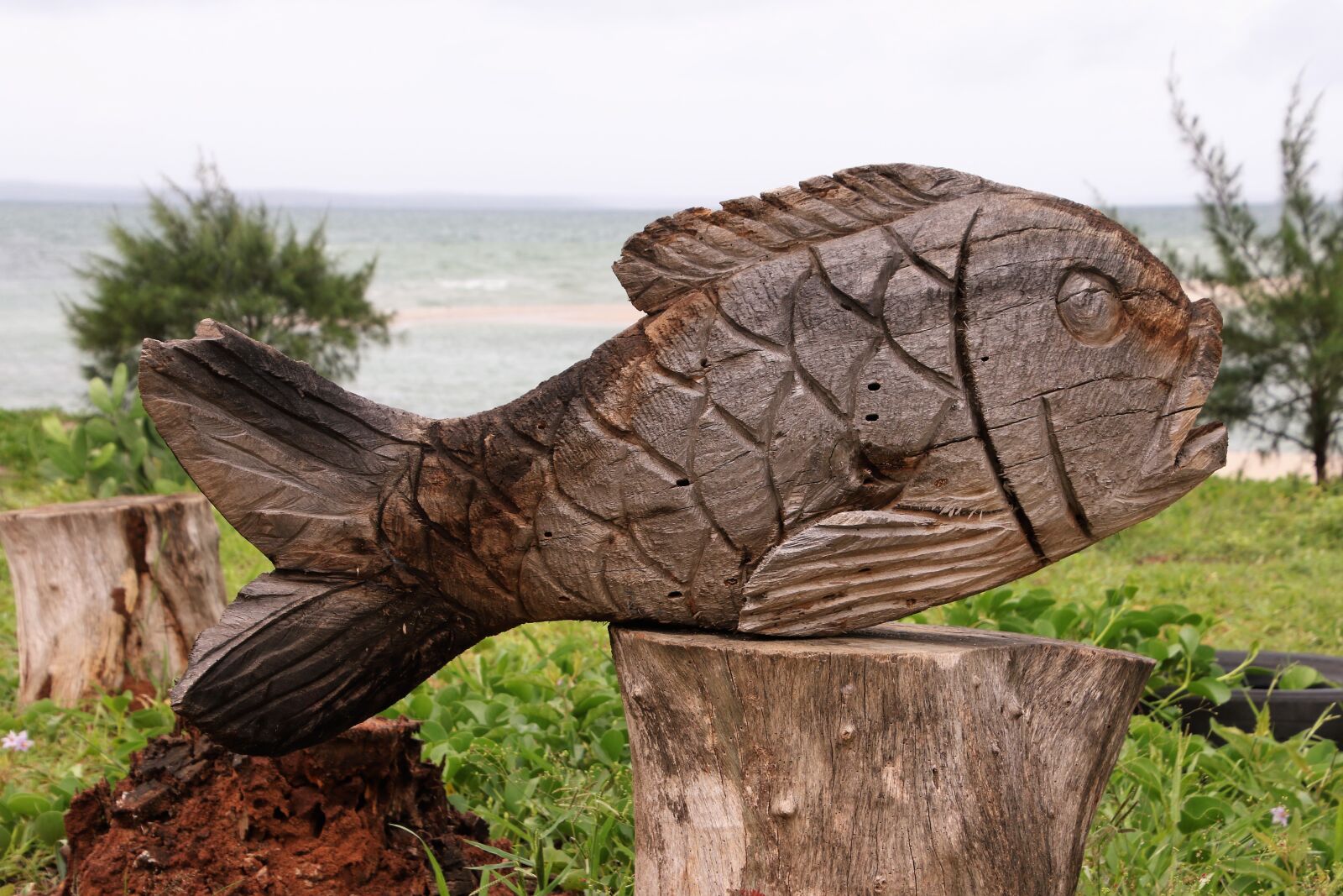 Canon EOS 7D Mark II sample photo. Art, fish, ocean, sea photography