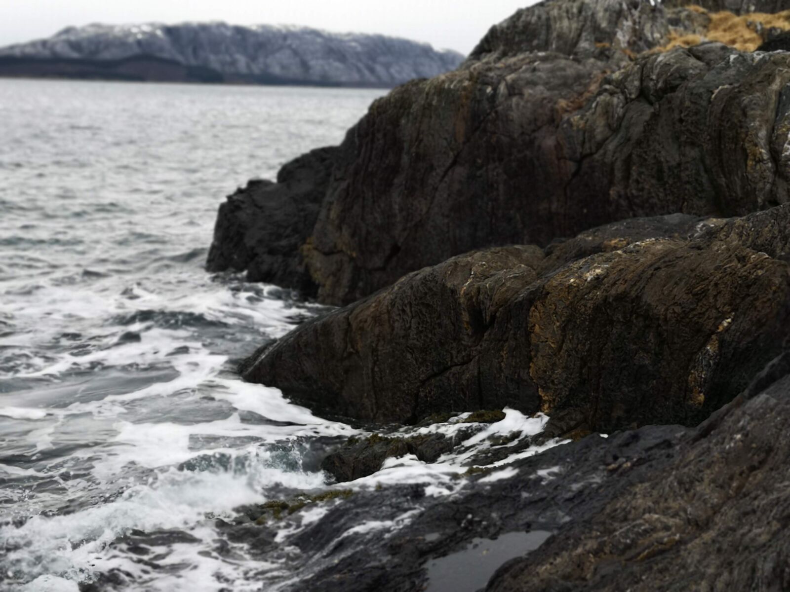 HUAWEI CLT-L29 sample photo. Sea, water, blue photography
