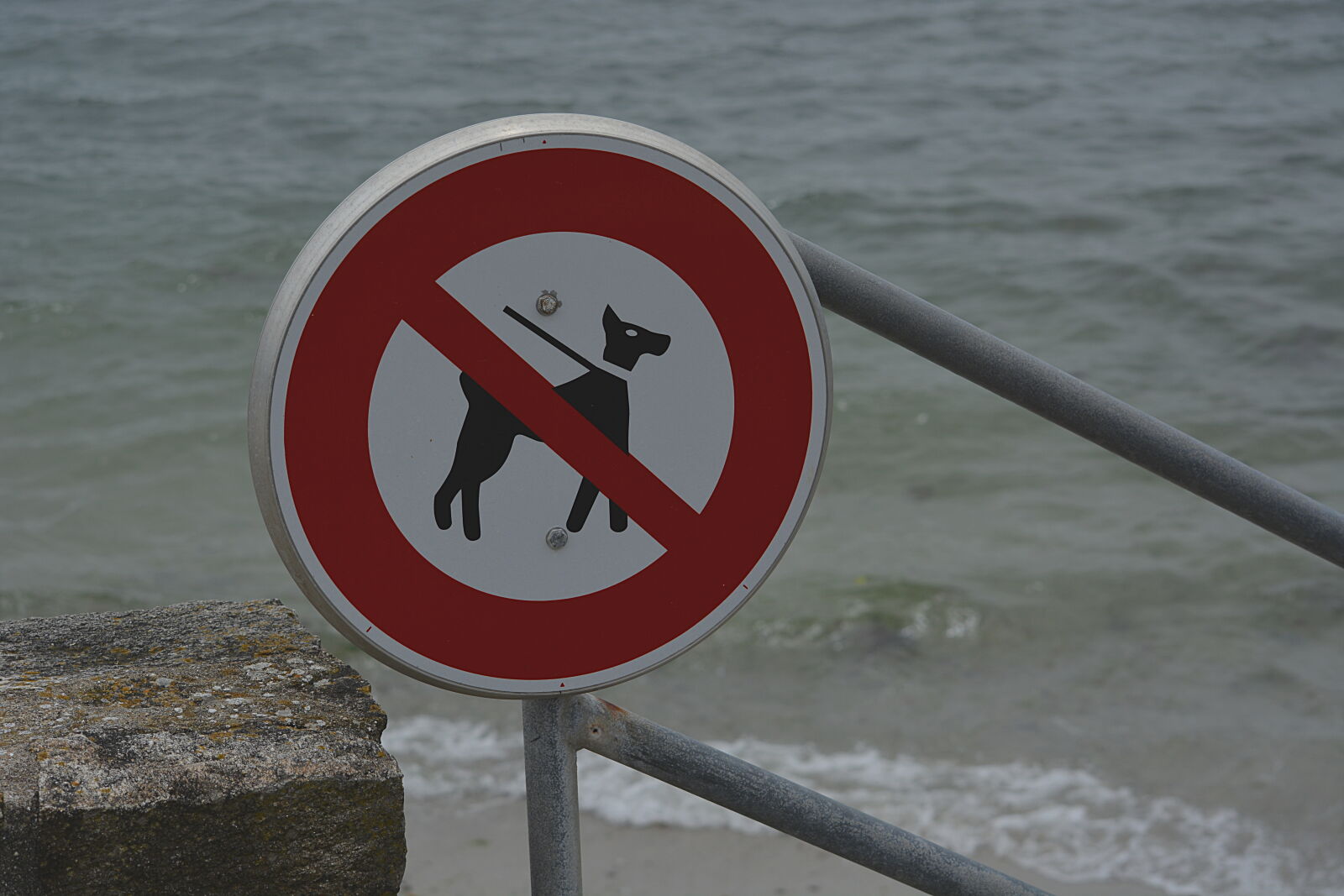Nikon D5200 sample photo. Chiens, hygiene, interdit, aux photography