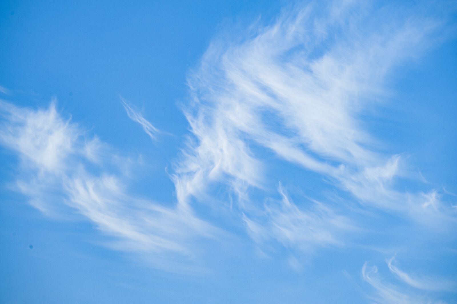 Nikon D700 sample photo. Cloud, white, sky photography