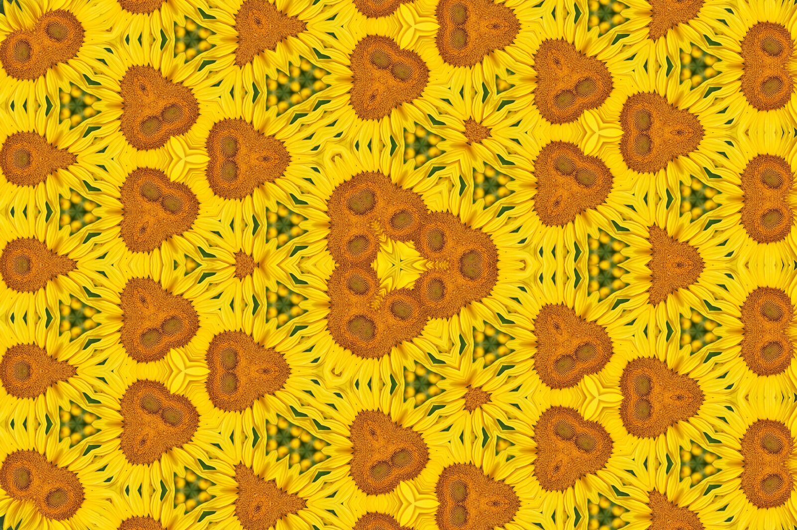 Sony SLT-A58 sample photo. Pattern, texture, background photography