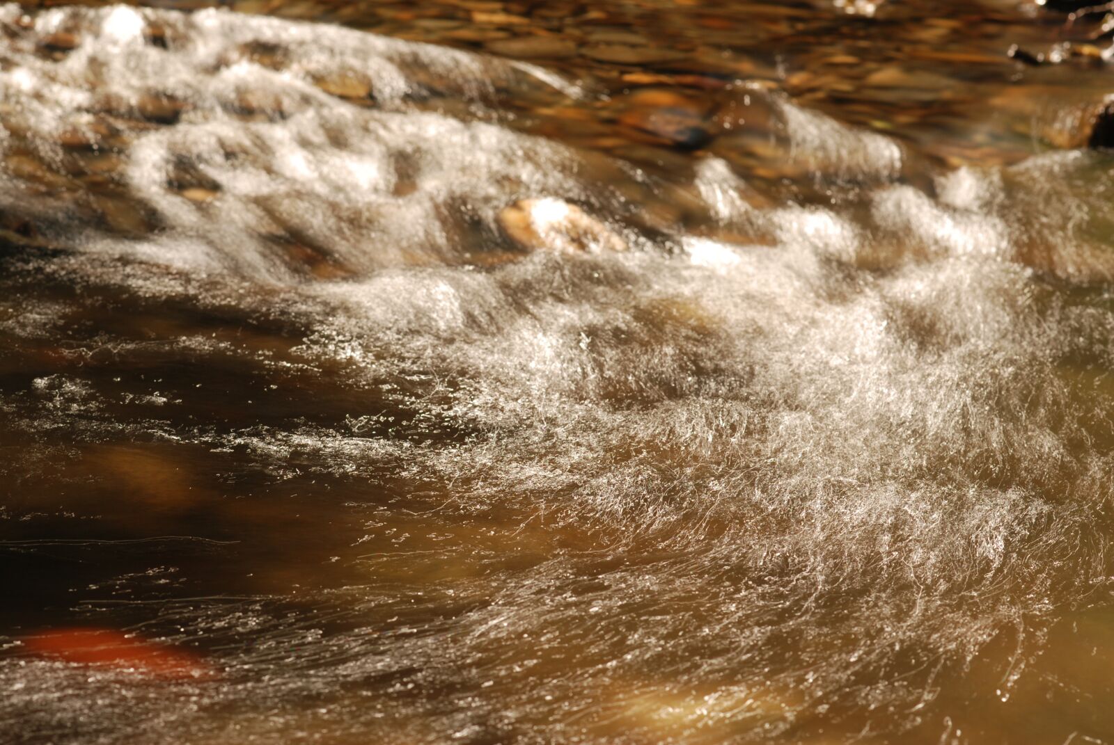Nikon D80 sample photo. Bach, pebble, water photography