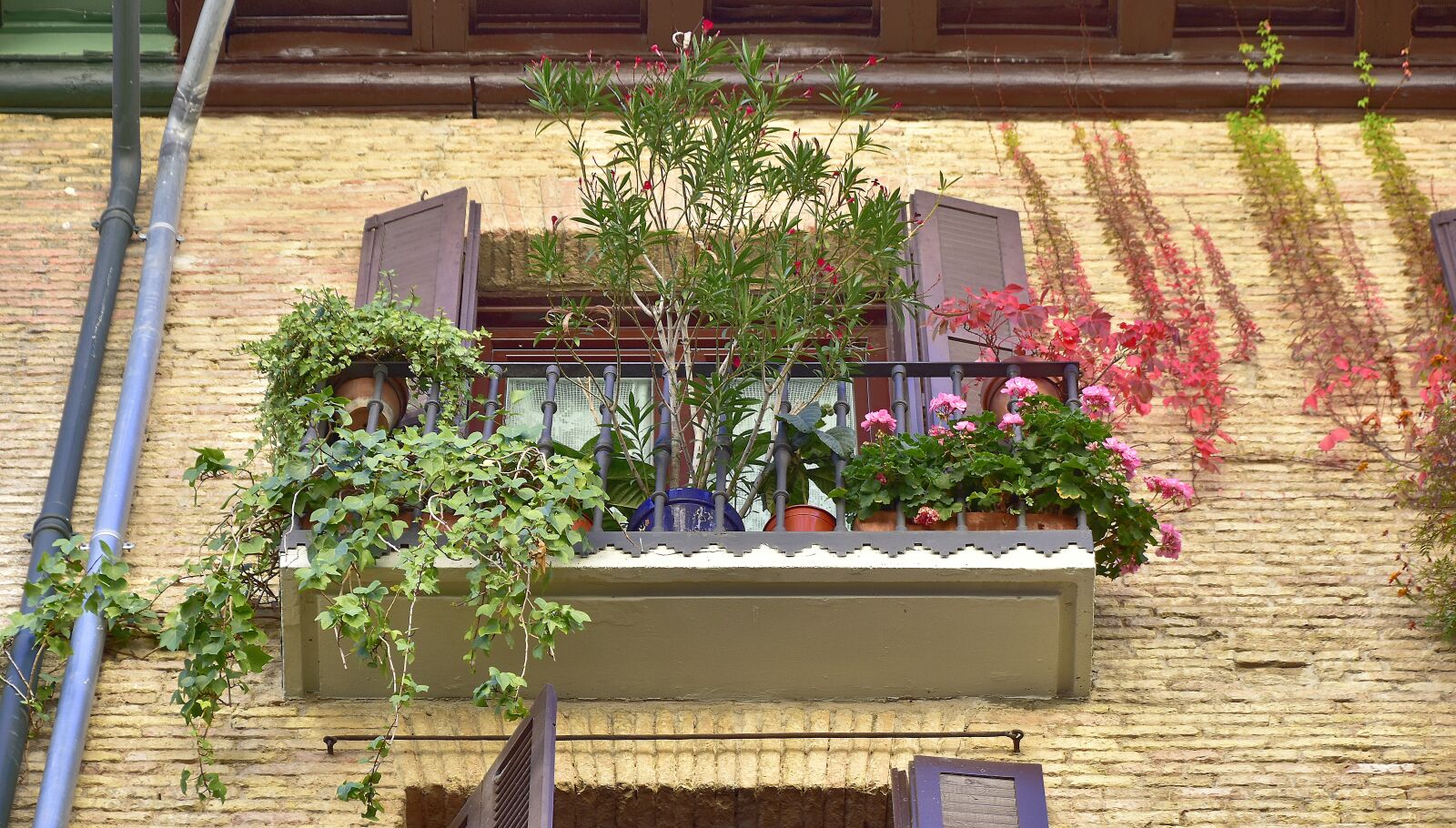 Nikon D7200 sample photo. Building, architecture, city photography
