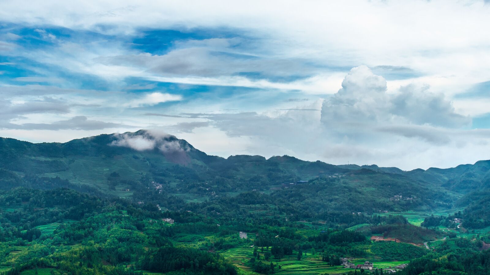 Nikon D3400 sample photo. China, guizhou, purple horse photography