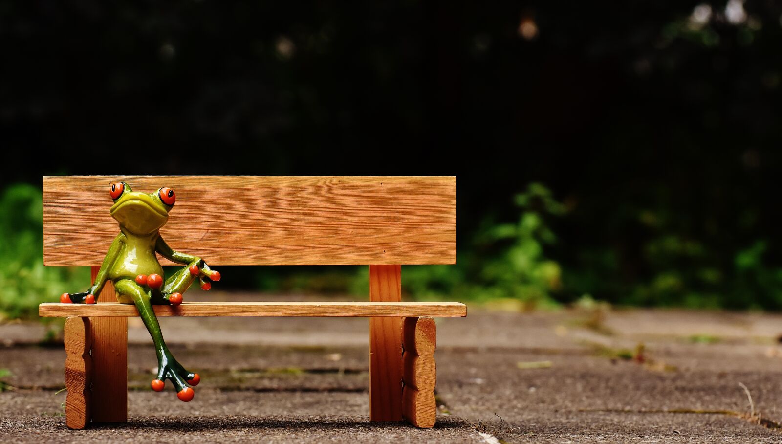 Nikon D7200 sample photo. Frog, sit, bank photography