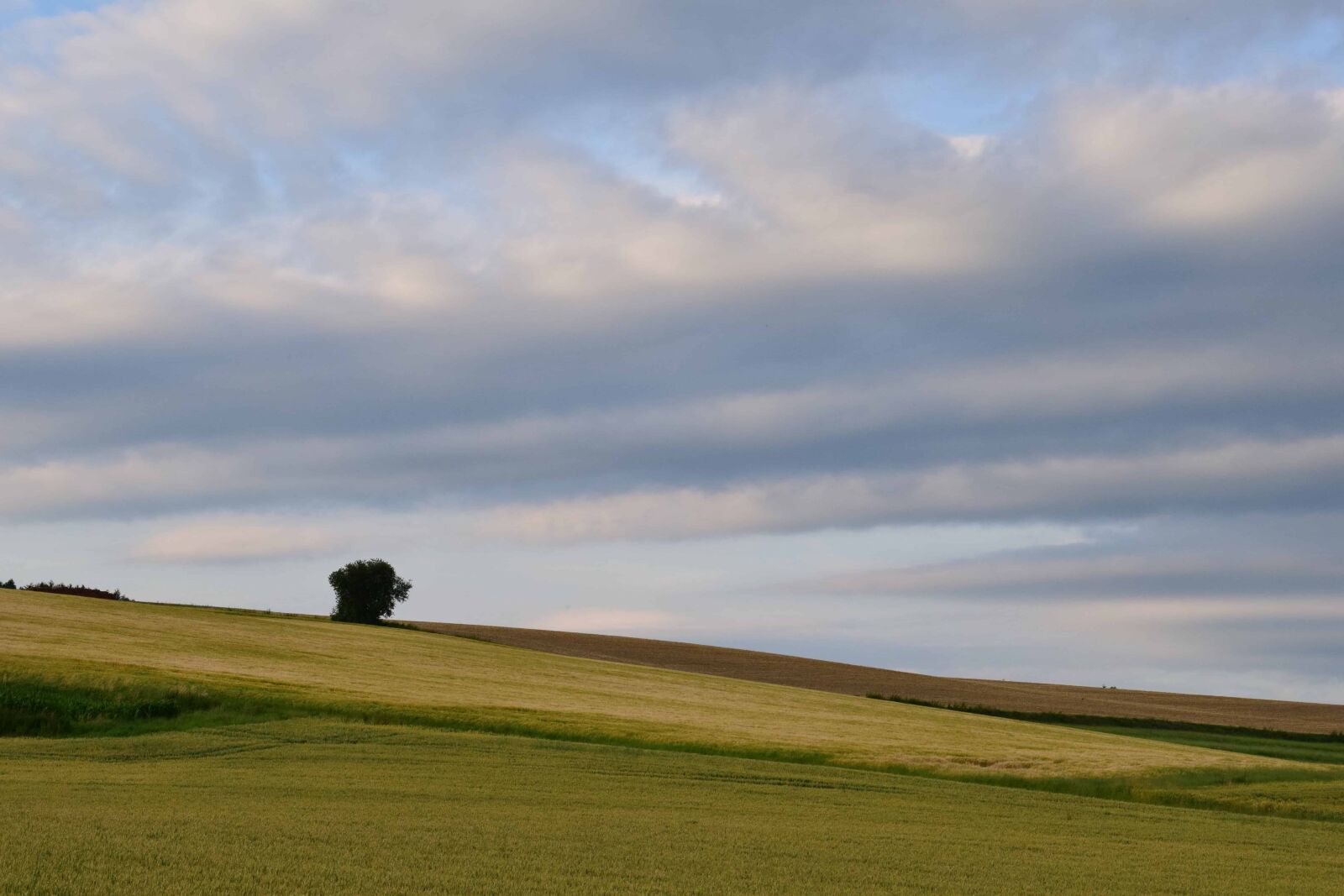 Nikon D3300 sample photo. Grassland, hill, agriculture, daylight photography