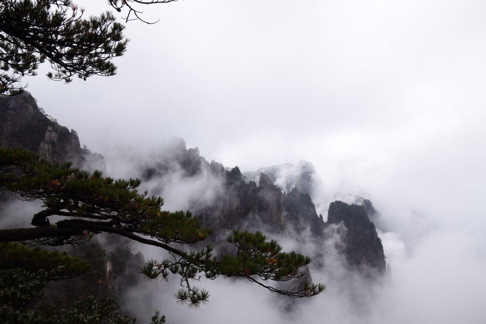Nikon D5300 sample photo. Huangshan, pine tree, chinese photography