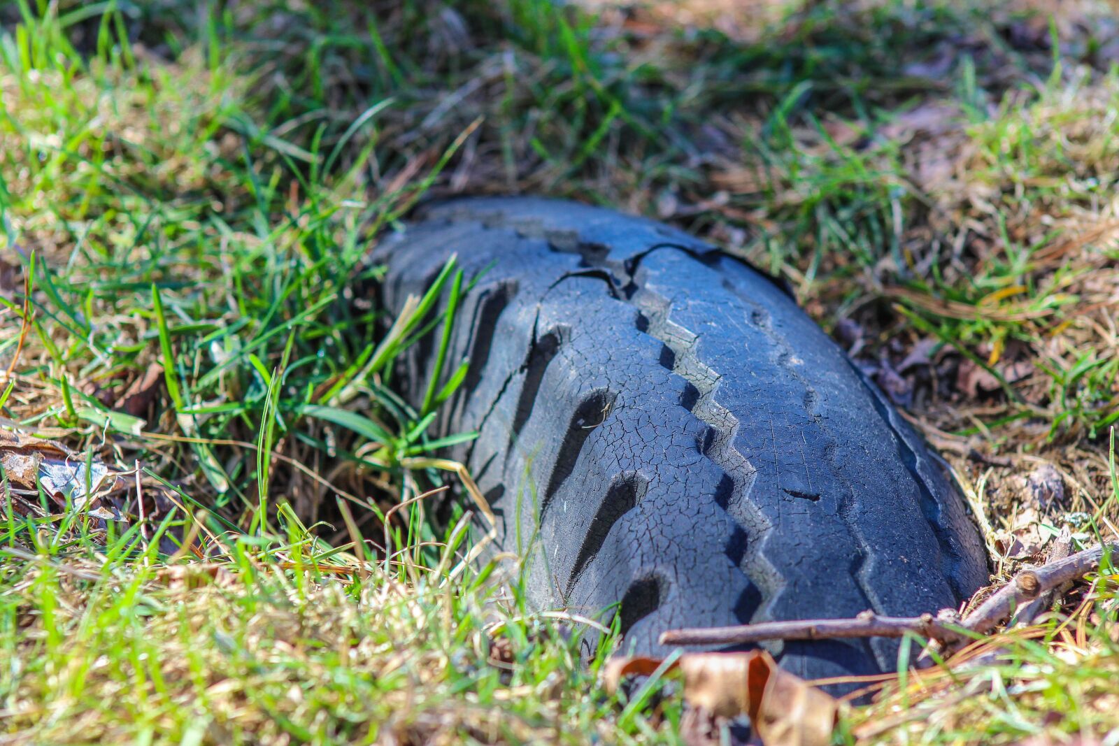 Canon EOS 600D (Rebel EOS T3i / EOS Kiss X5) sample photo. Grass, tire, buried photography