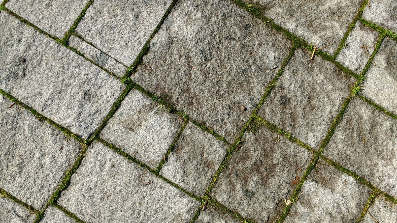 Motorola MotoG3 sample photo. Floor, texture, moss photography