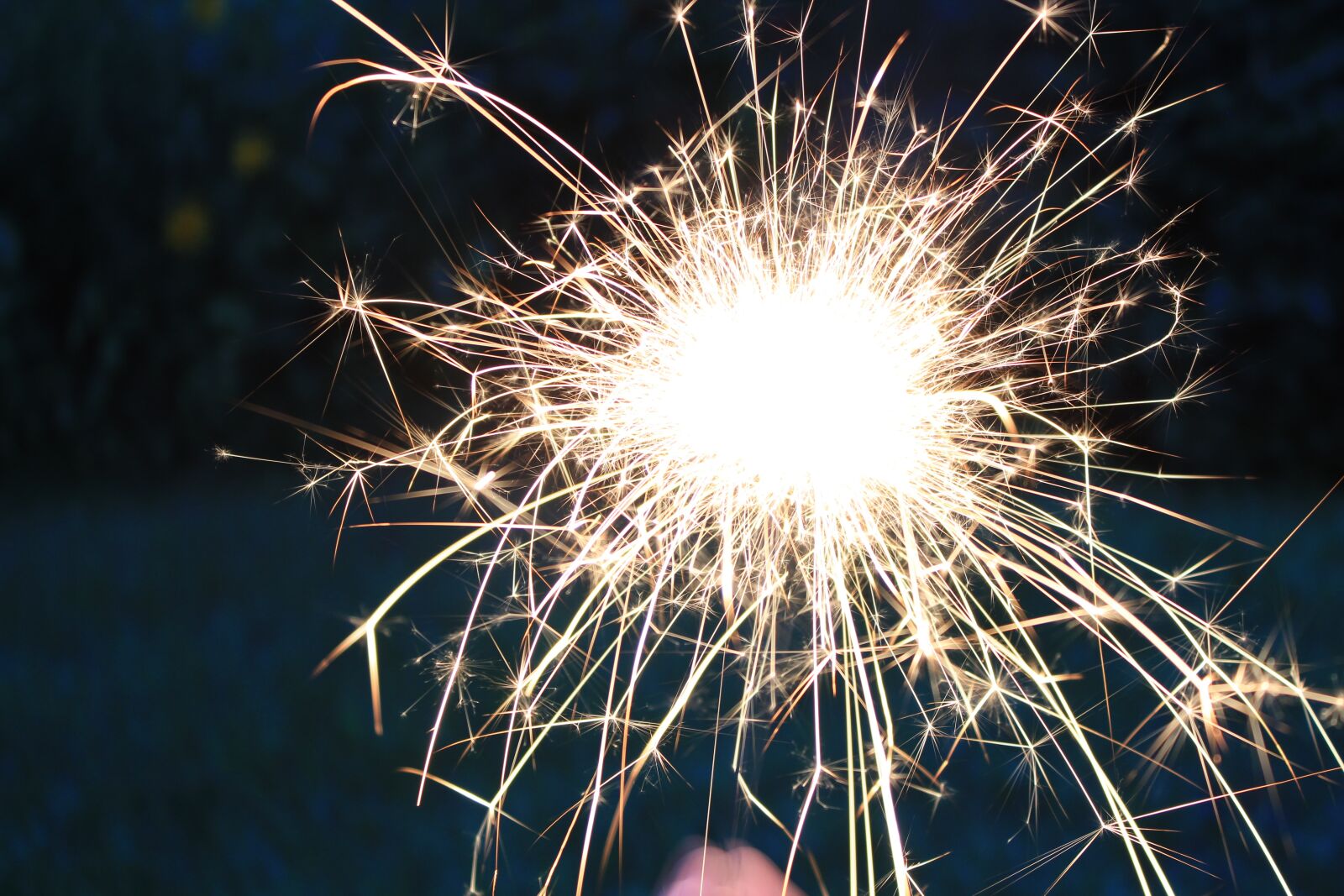 Canon EOS 600D (Rebel EOS T3i / EOS Kiss X5) sample photo. Sparkler, dandelion, fire photography