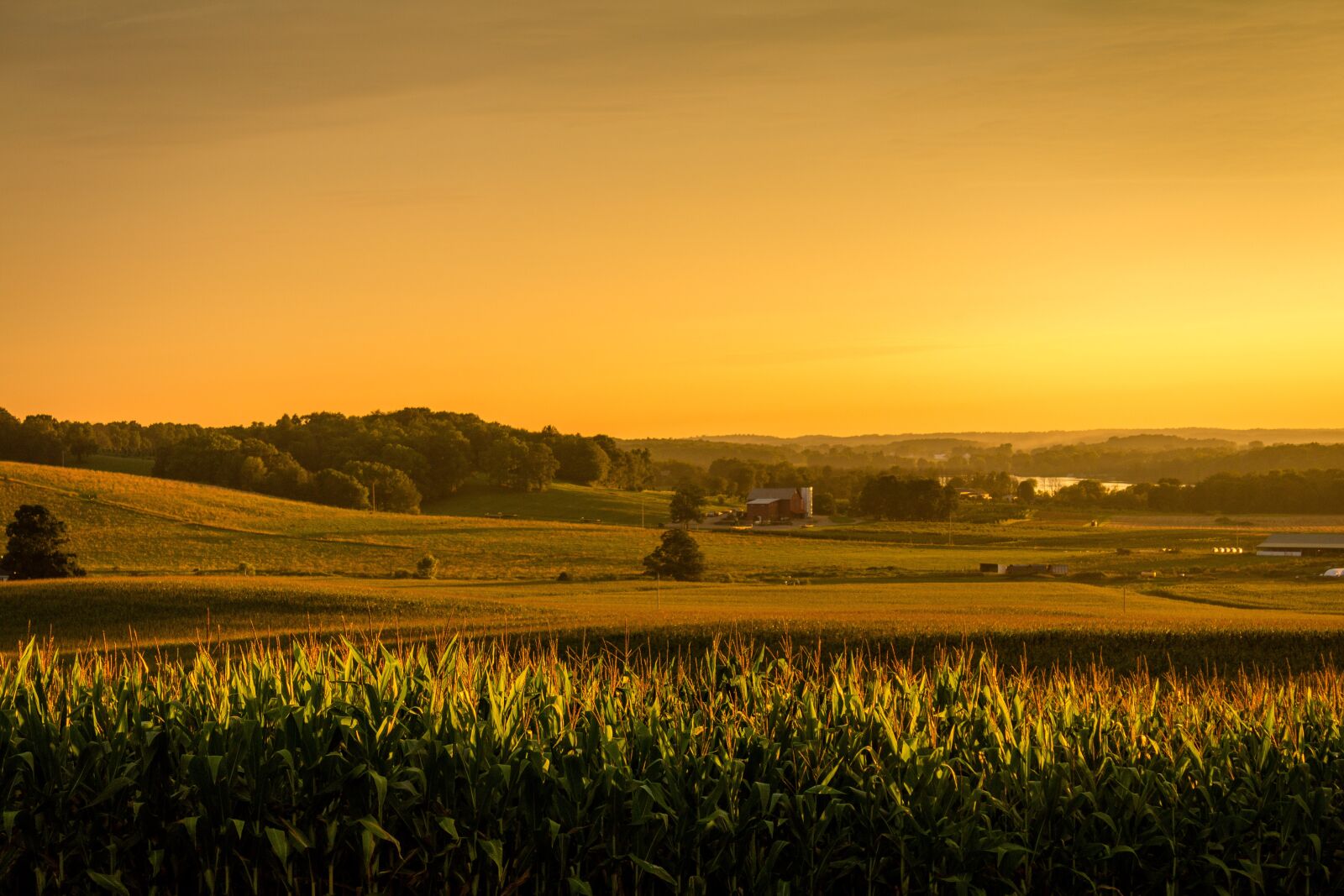 Canon EOS 70D sample photo. Sunset, yellow, vibrant photography
