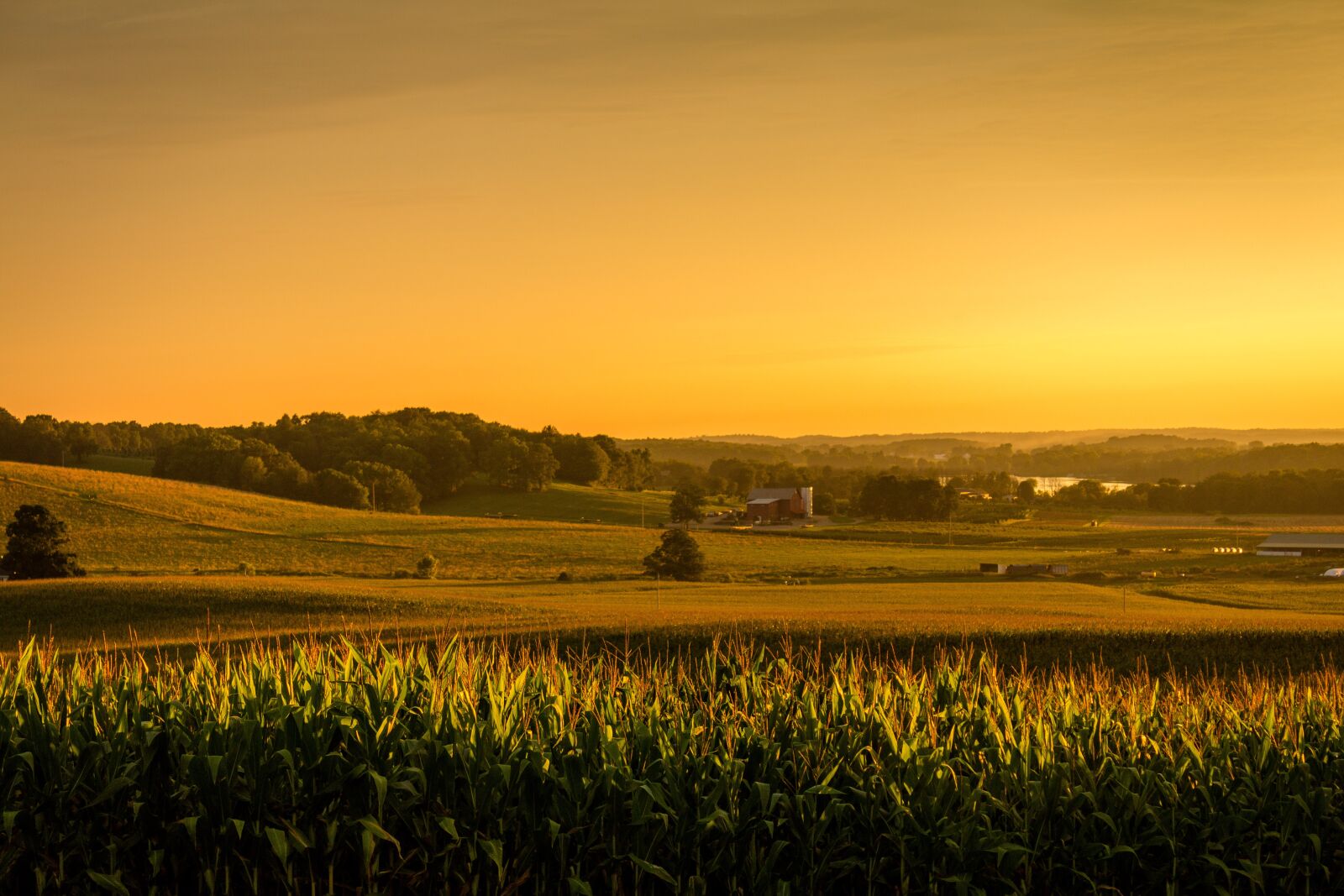 Canon EOS 70D + Canon EF-S 18-55mm F3.5-5.6 IS sample photo. Sunset, yellow, vibrant photography