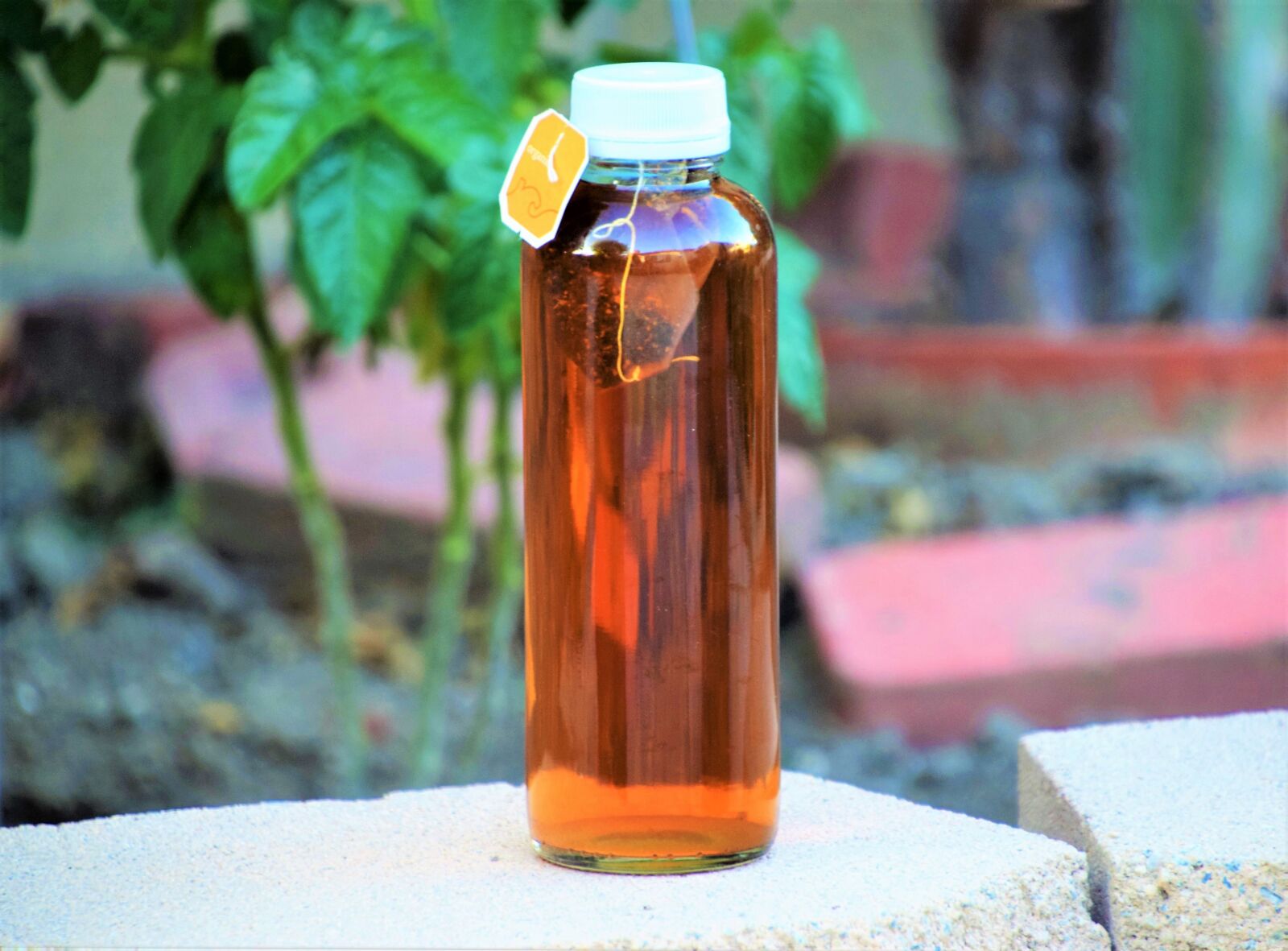 Nikon D3300 sample photo. Sun tea, garden sun photography