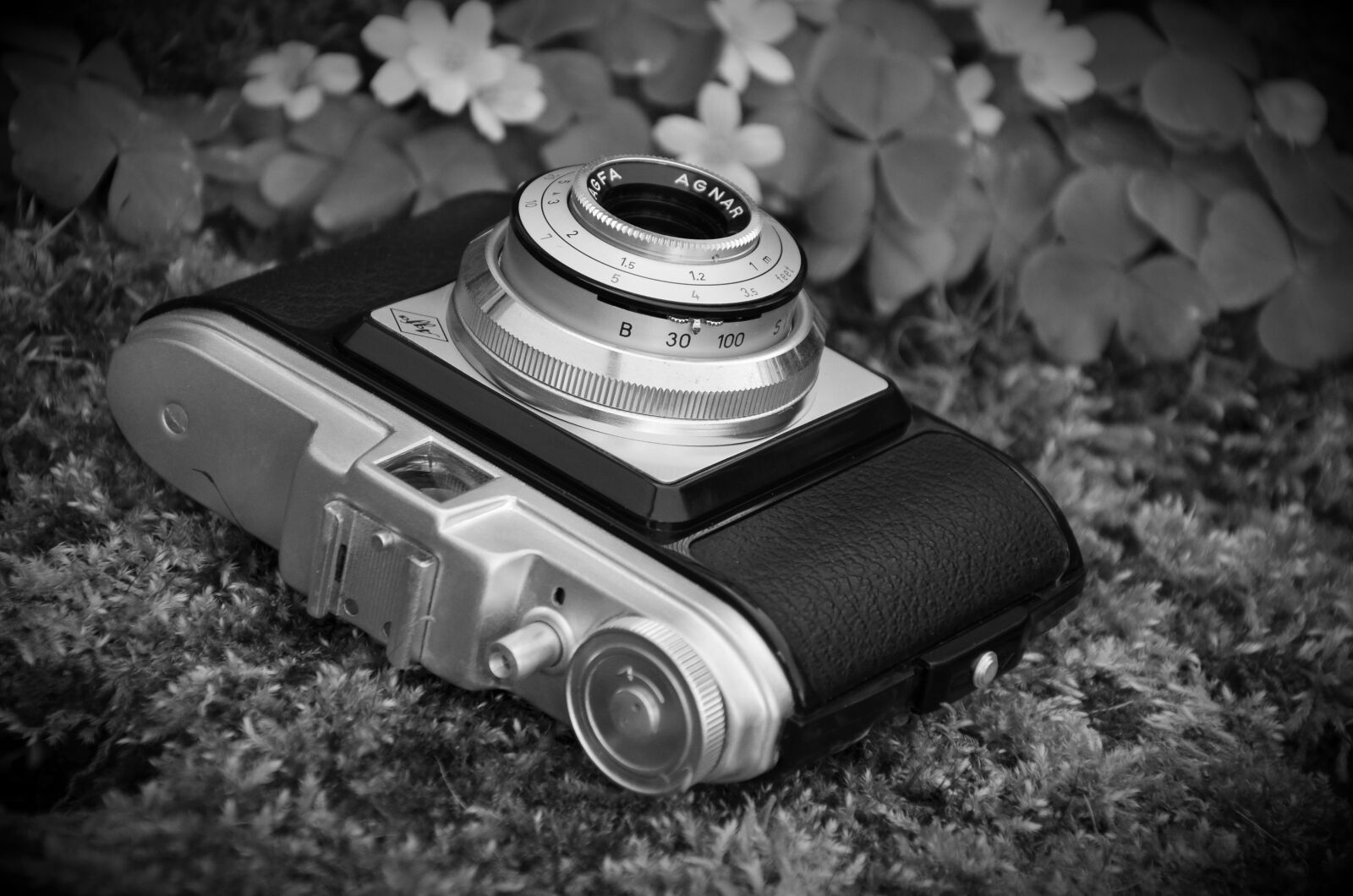 Nikon D5100 sample photo. Camera, old antique, agfa photography