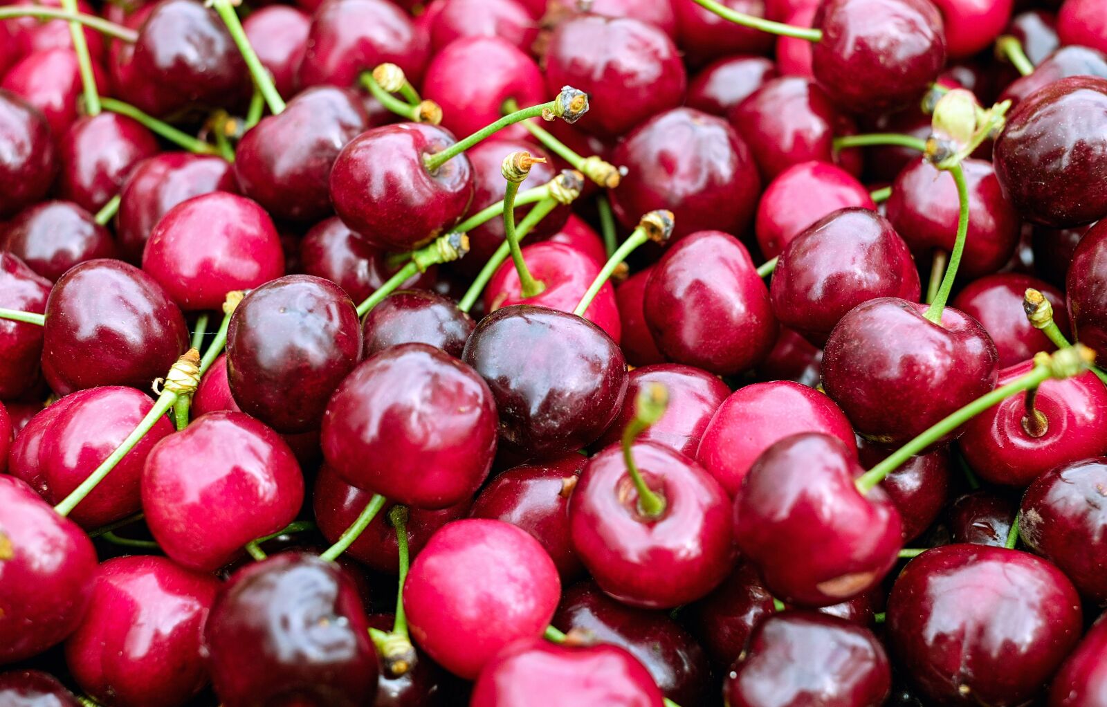 Fujifilm X-T10 + Fujifilm XF 35mm F1.4 R sample photo. Cherry, sweet cherry, red photography