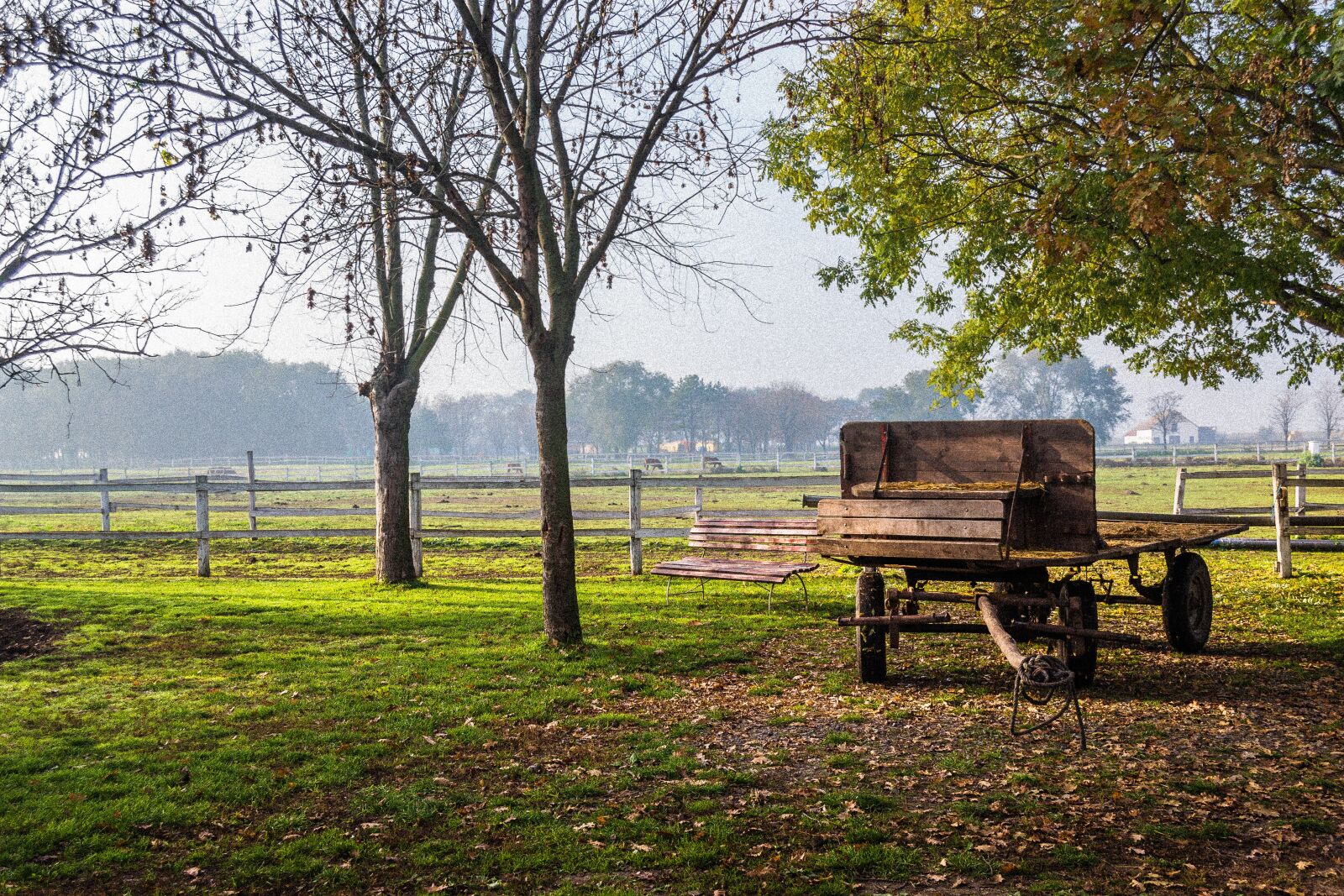 Nikon D3100 sample photo. Wagon, countryside, nature photography