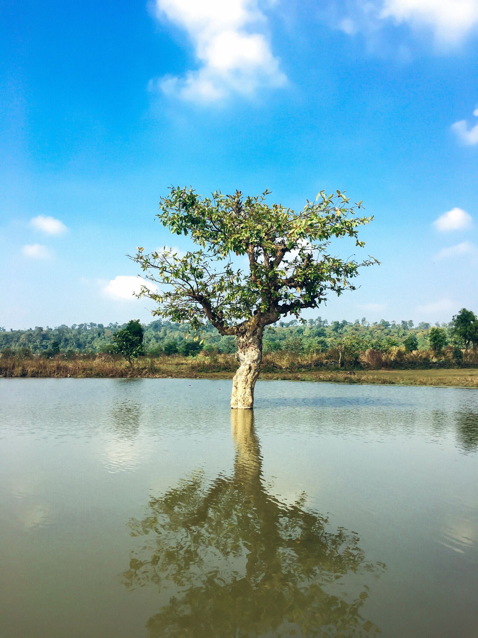 Apple iPhone 6s sample photo. Naturephotography, nature, photography photography