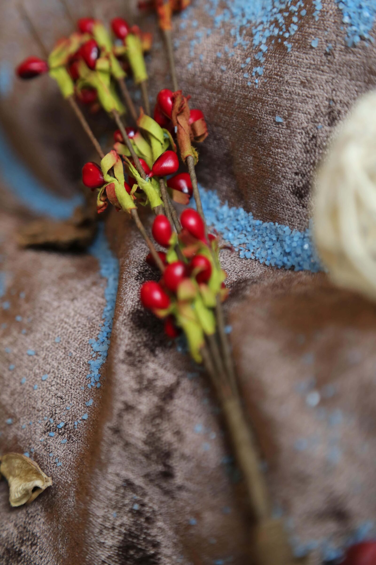 Canon EOS 5D Mark III sample photo. Decoration, textile, berries, branches photography