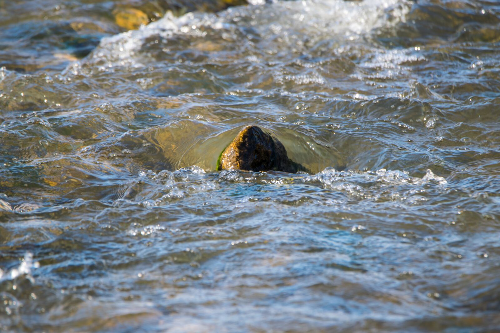 Nikon D5300 sample photo. Body of water, open photography