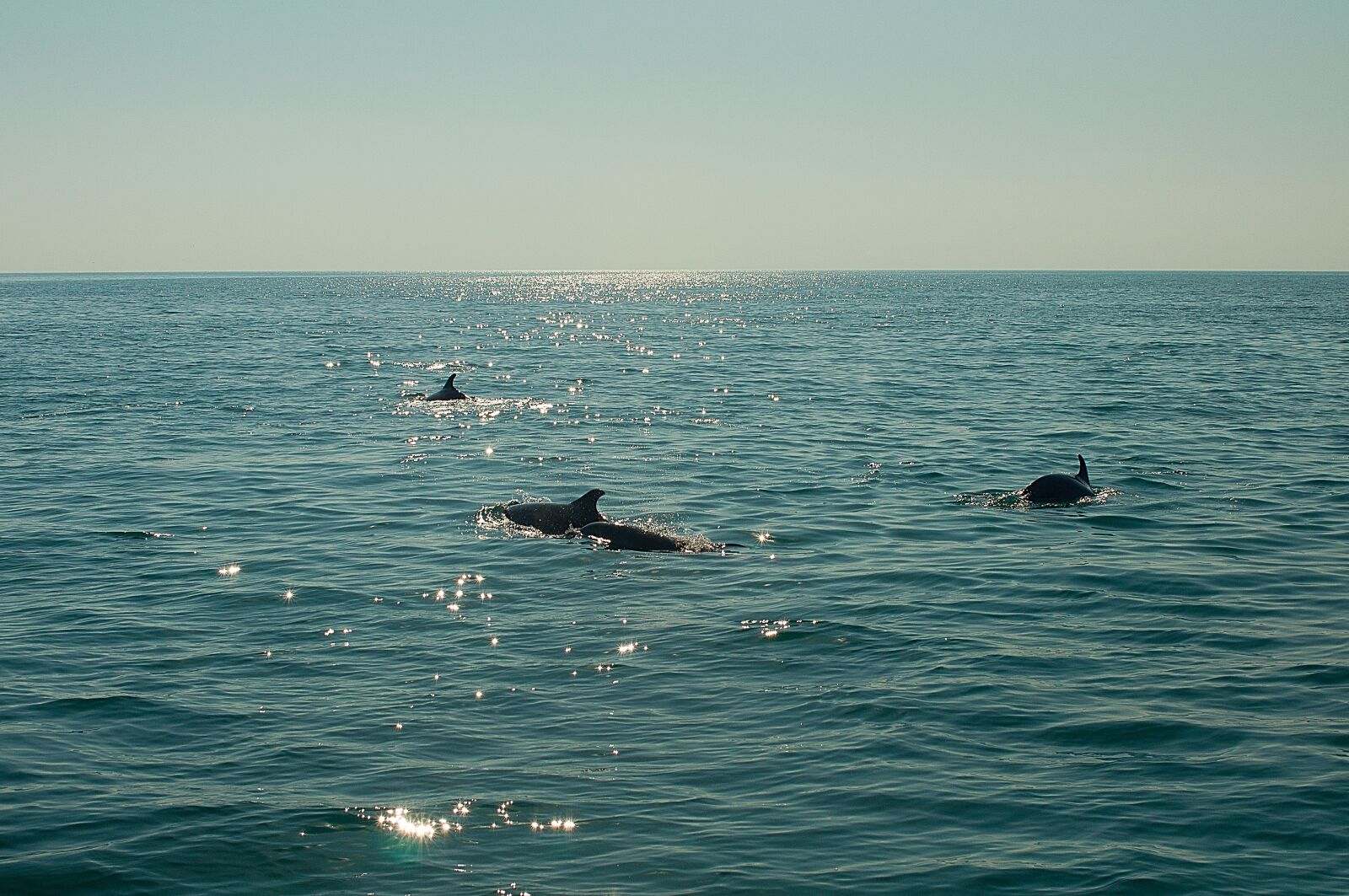 Nikon D90 sample photo. Water, sea, ocean photography