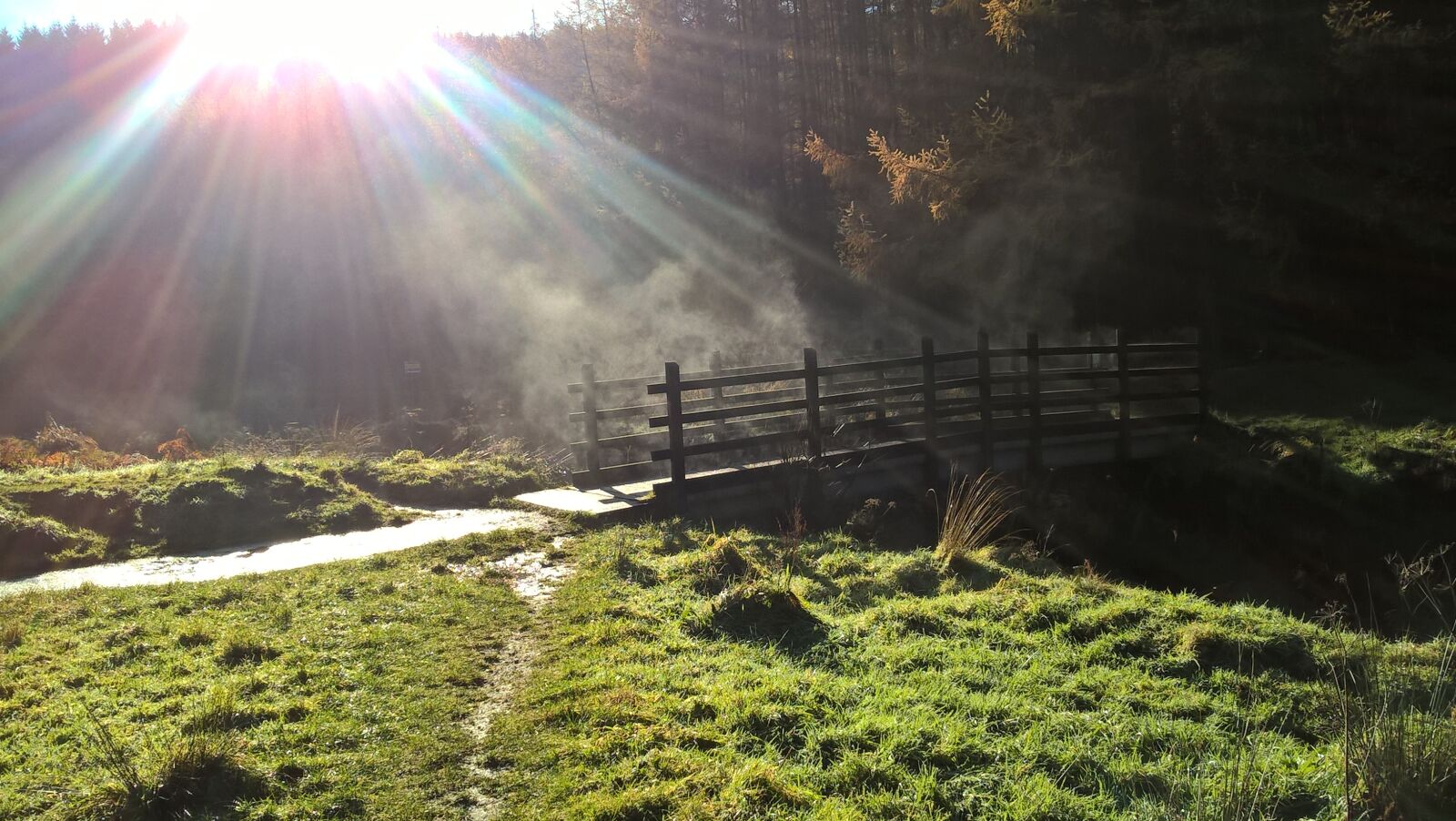 Microsoft Lumia 640 LTE sample photo. Bridge, sun, light photography