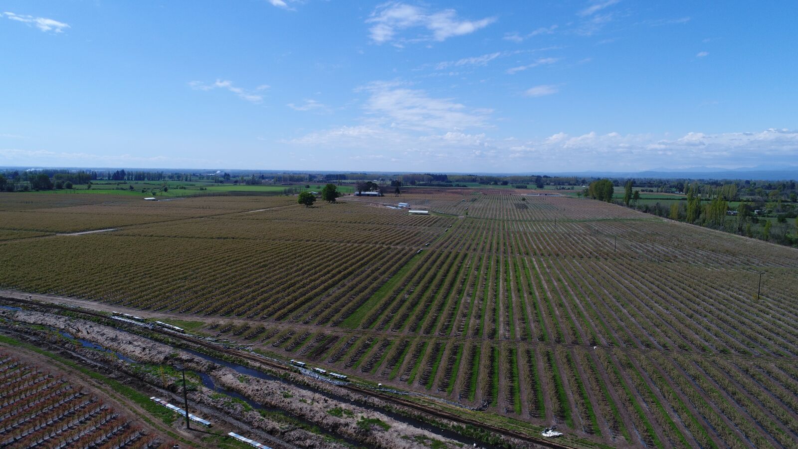 DJI FC6310 sample photo. Agriculture, drone, fumigation photography