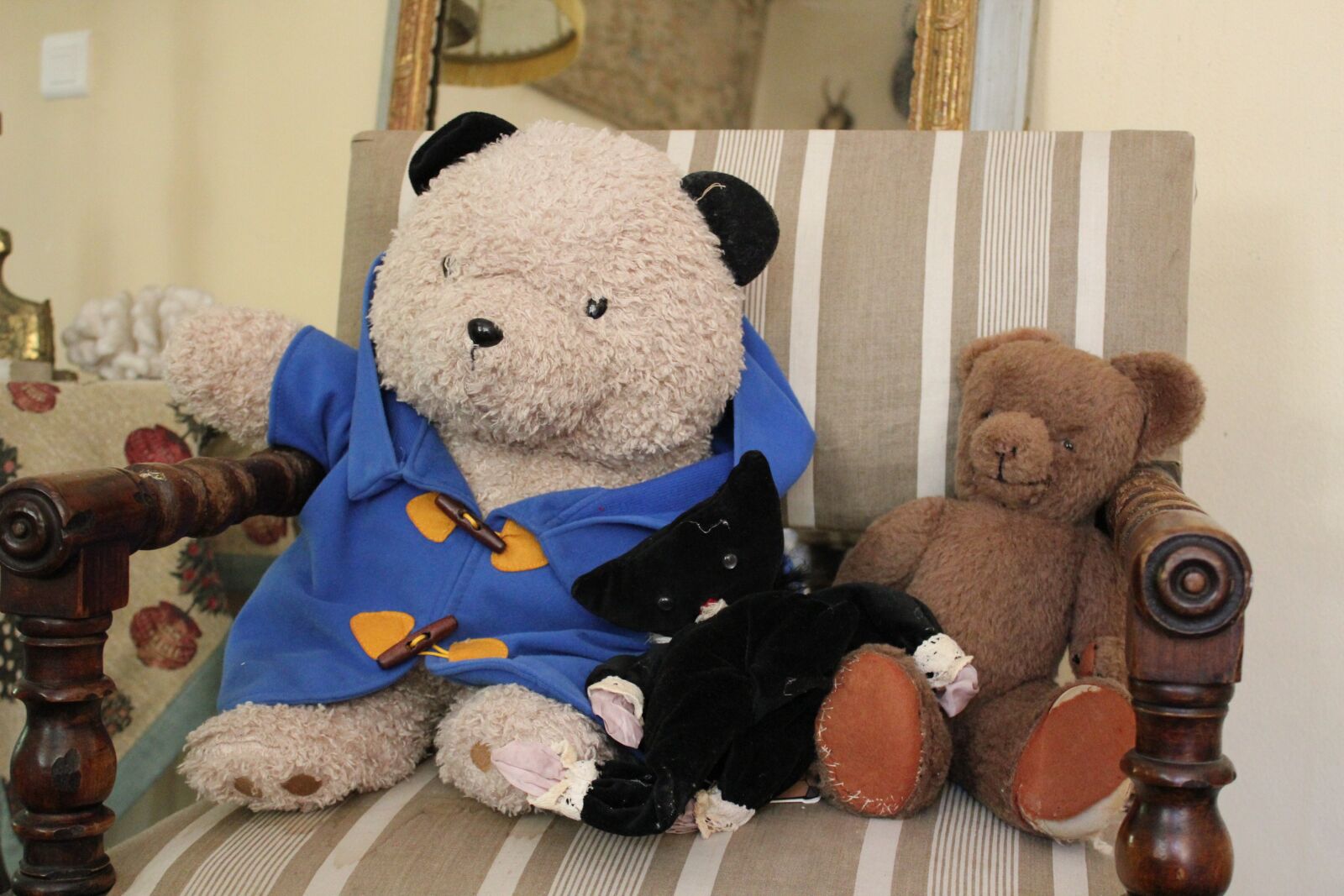 Canon EOS 550D (EOS Rebel T2i / EOS Kiss X4) sample photo. Teddy, bear cub, friend photography