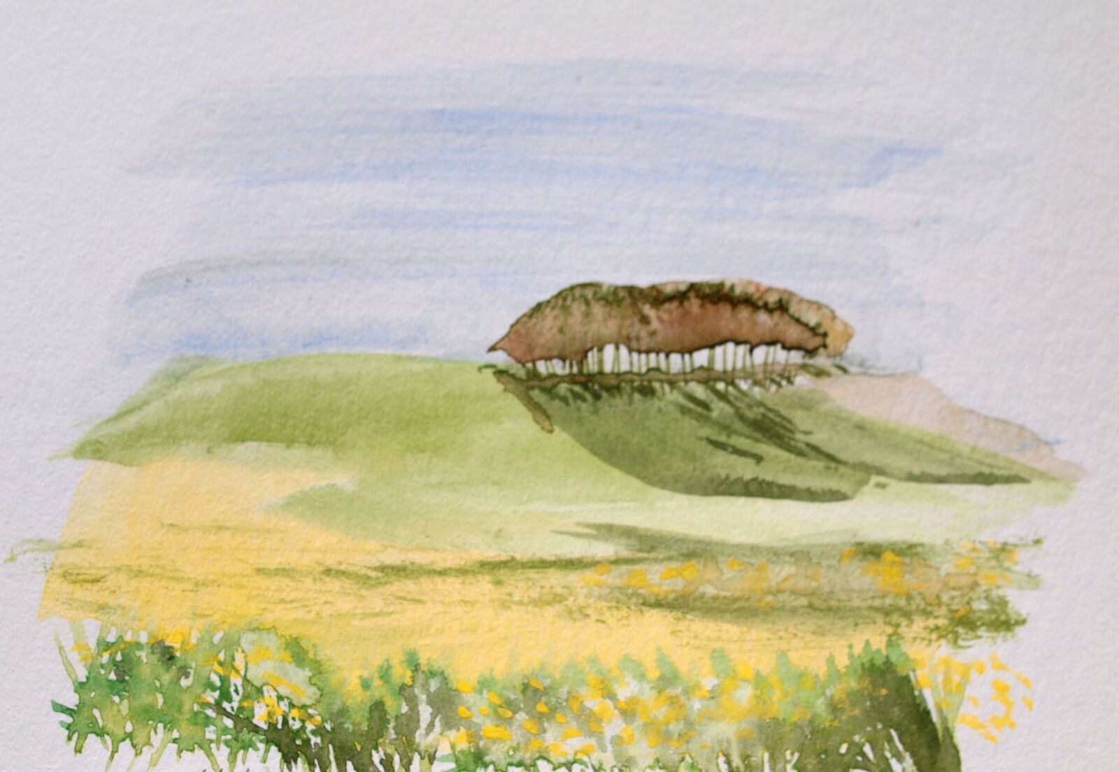 Olympus E-520 (EVOLT E-520) sample photo. Watercolour, landscape, card photography