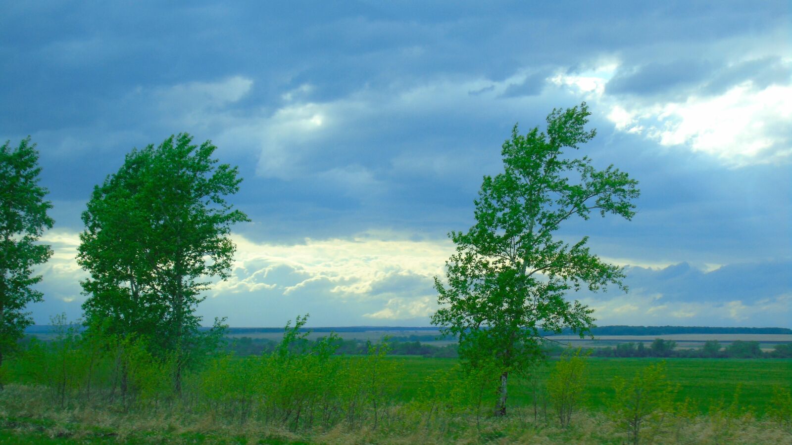 Sony Cyber-shot DSC-H400 sample photo. Russia, siberia, nature photography
