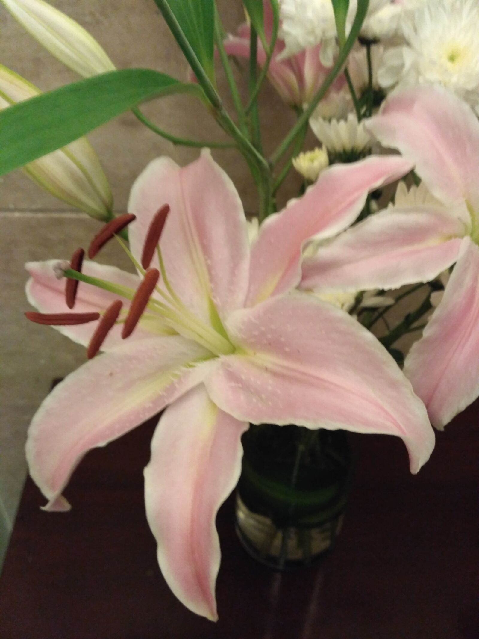 Xiaomi Redmi 3S sample photo
