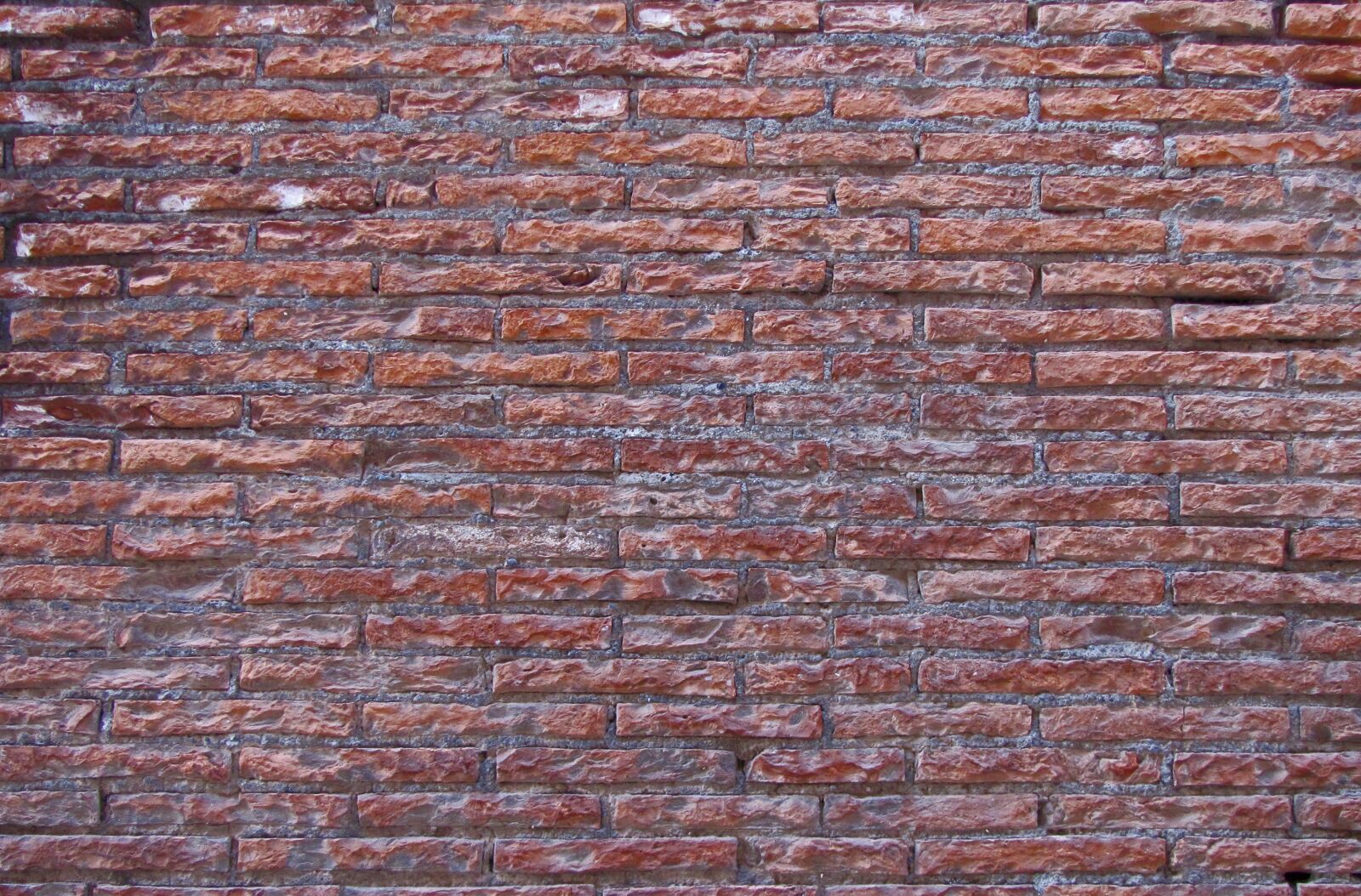 Canon PowerShot SX20 IS sample photo. Brick wall, bricks, brickwork photography