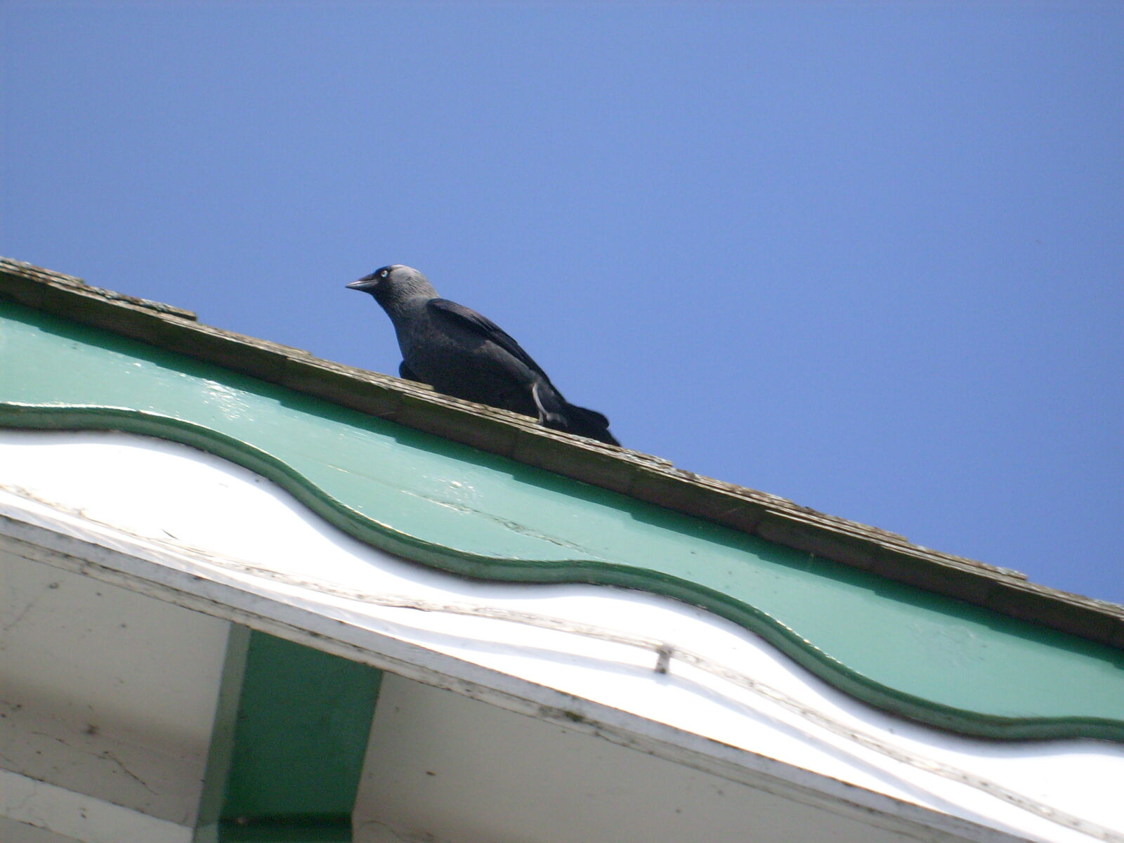 Samsung D70 / D75 / S730 / S750 sample photo
