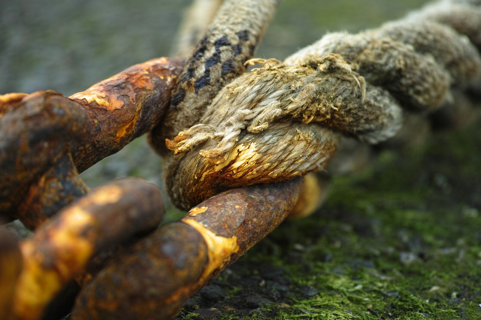 Sigma DP3 Merrill sample photo. Rope, old, rusty photography