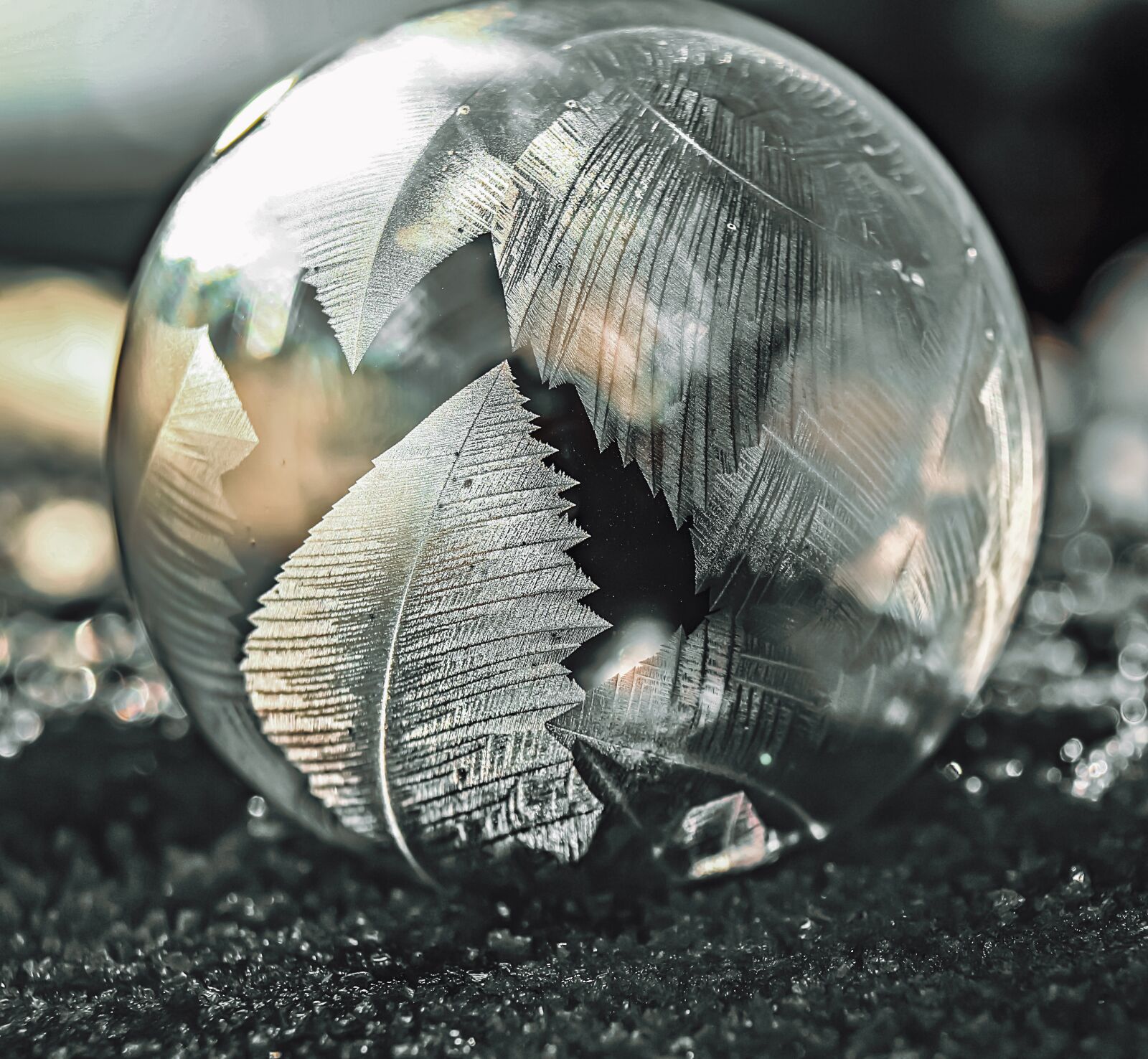 Canon EOS 100D (EOS Rebel SL1 / EOS Kiss X7) sample photo. Bubble, leaf, nature photography