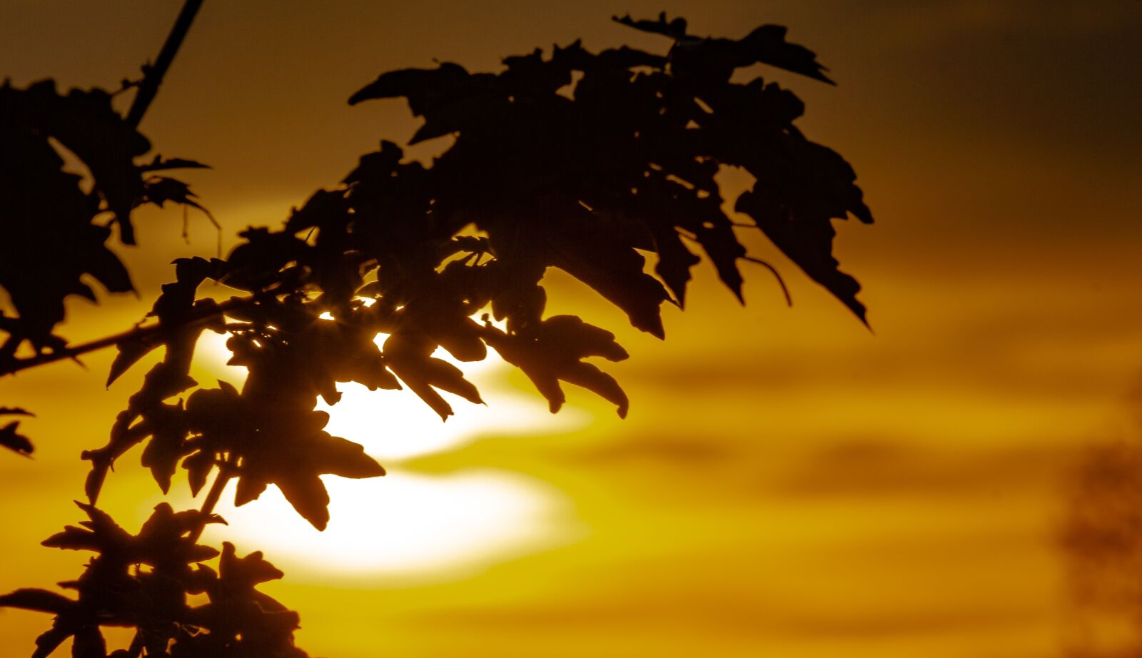 Tamron AF 70-300mm F4-5.6 Di LD Macro sample photo. Sunset, landscape park photography