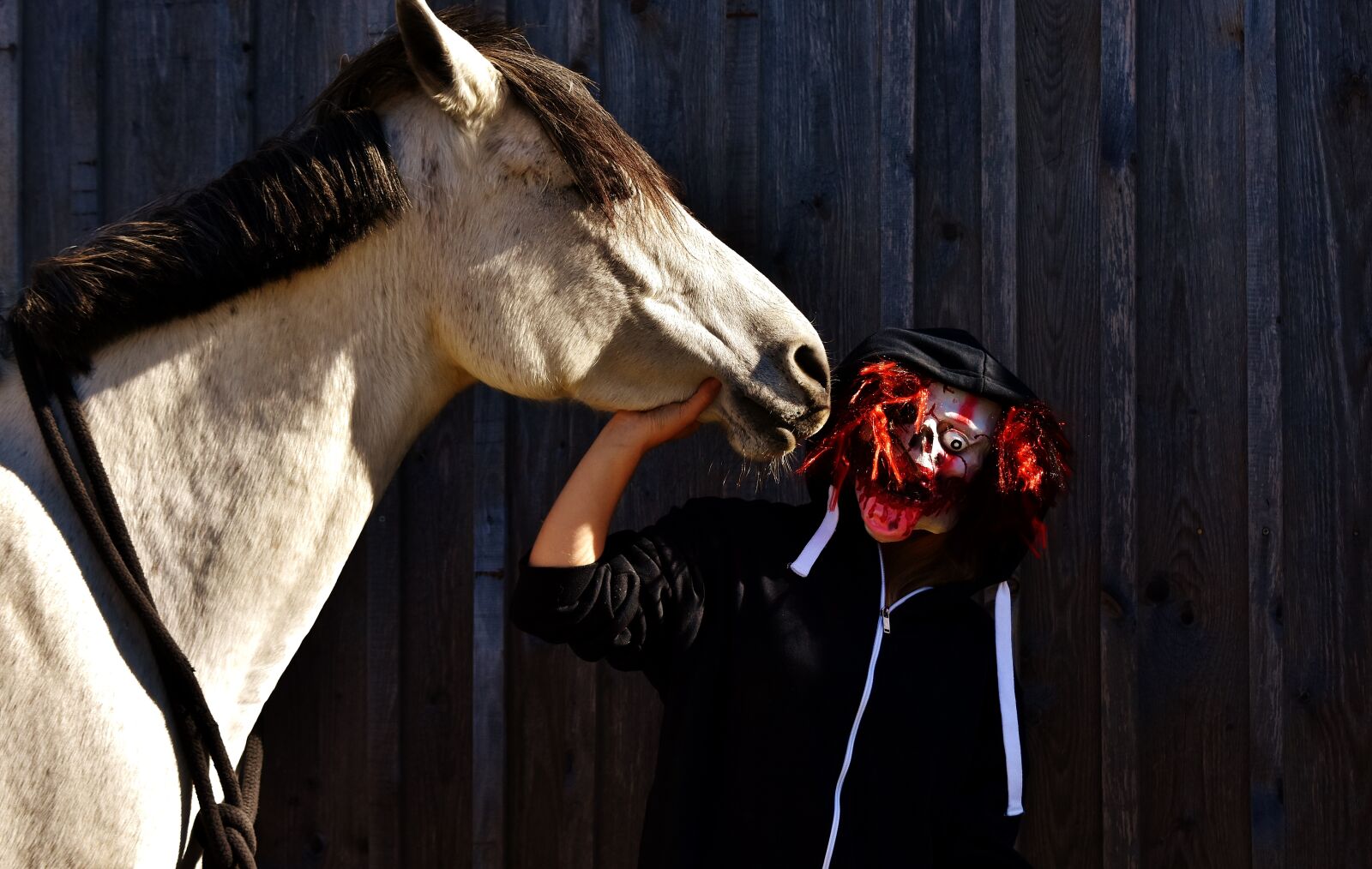 Nikon D7200 sample photo. Halloween, bloody, horror clown photography