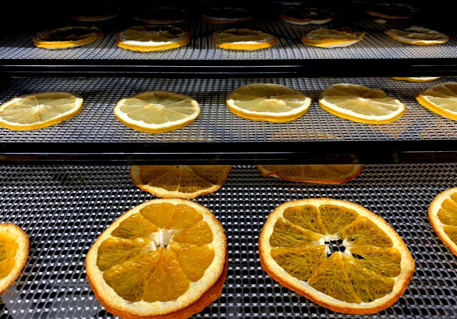 Apple iPhone XS Max sample photo. Dehydration, orange, fruit photography
