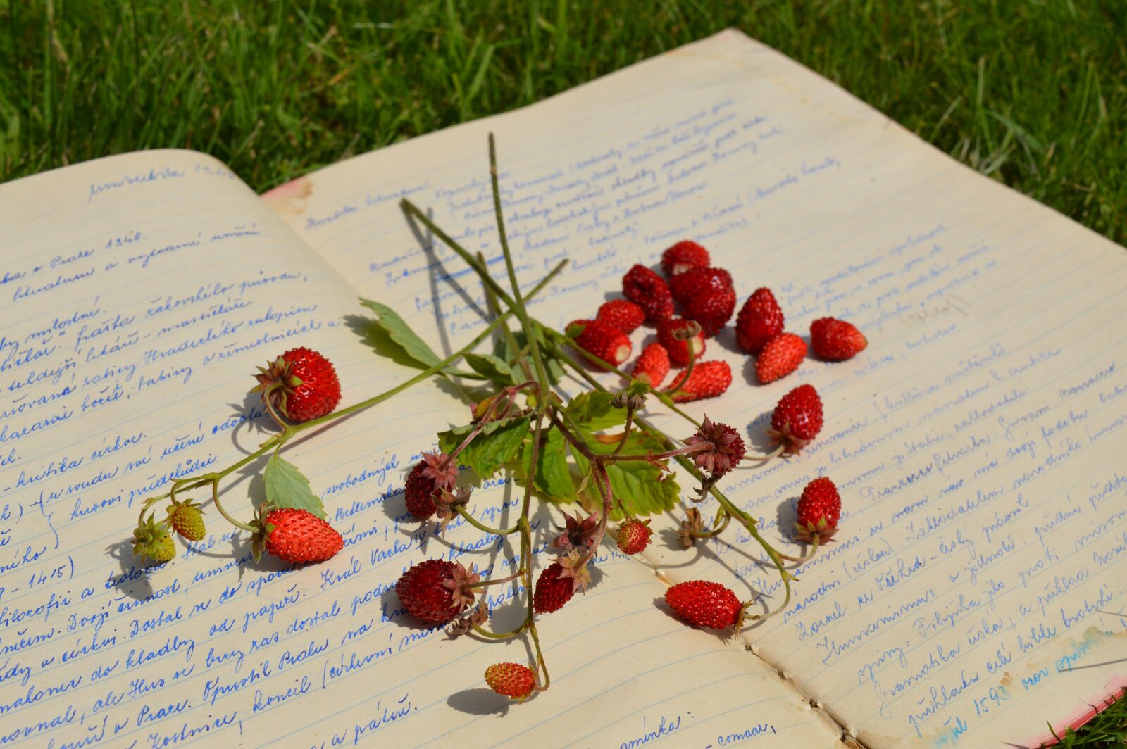 Nikon D3200 sample photo. Paper, old, text photography