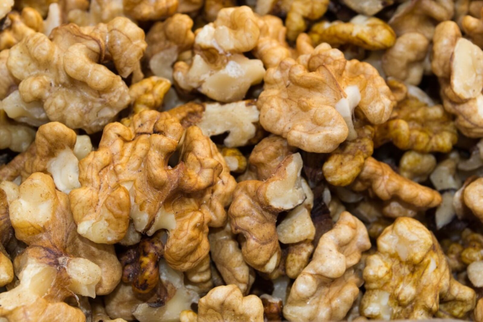 Nikon D3100 sample photo. Walnuts, nuts, brown photography