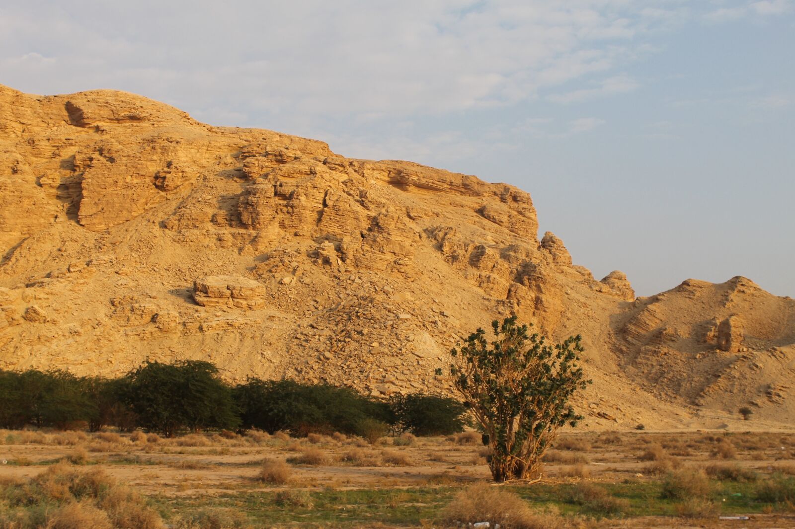 Canon EOS 1100D (EOS Rebel T3 / EOS Kiss X50) sample photo. Saudi arabian desert, desert photography